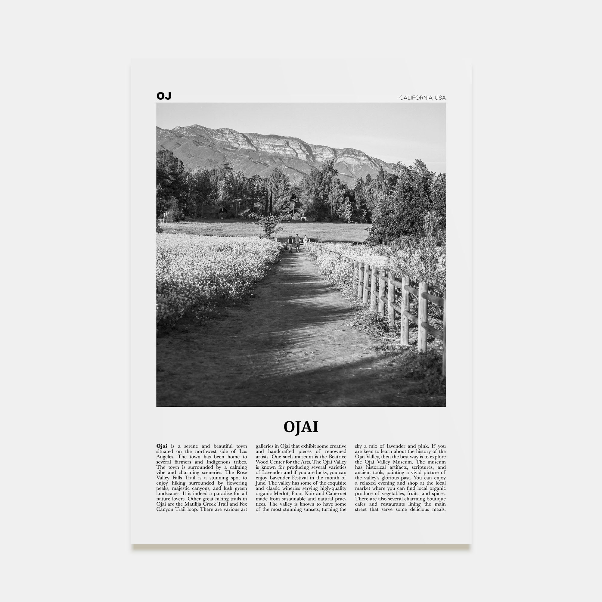 Ojai Travel B&W Poster