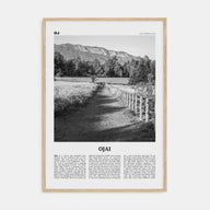 Ojai Travel B&W Poster