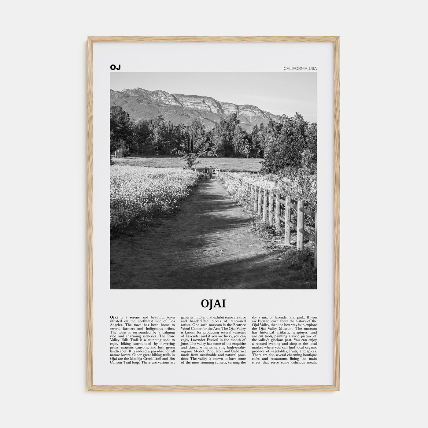 Ojai Travel B&W Poster