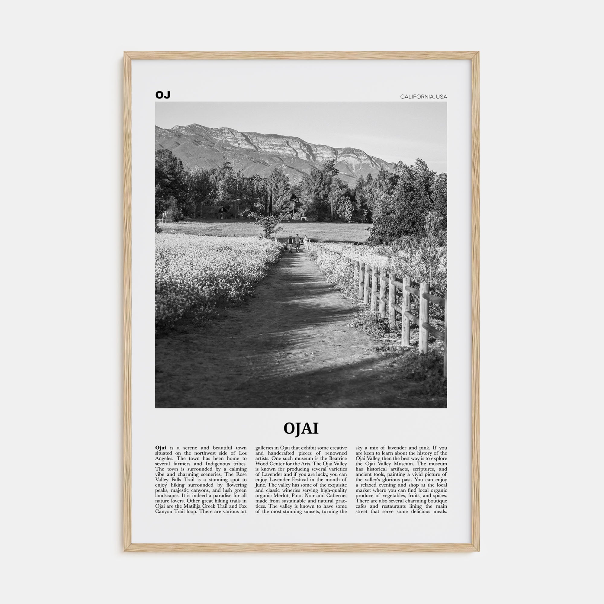 Ojai Travel B&W Poster