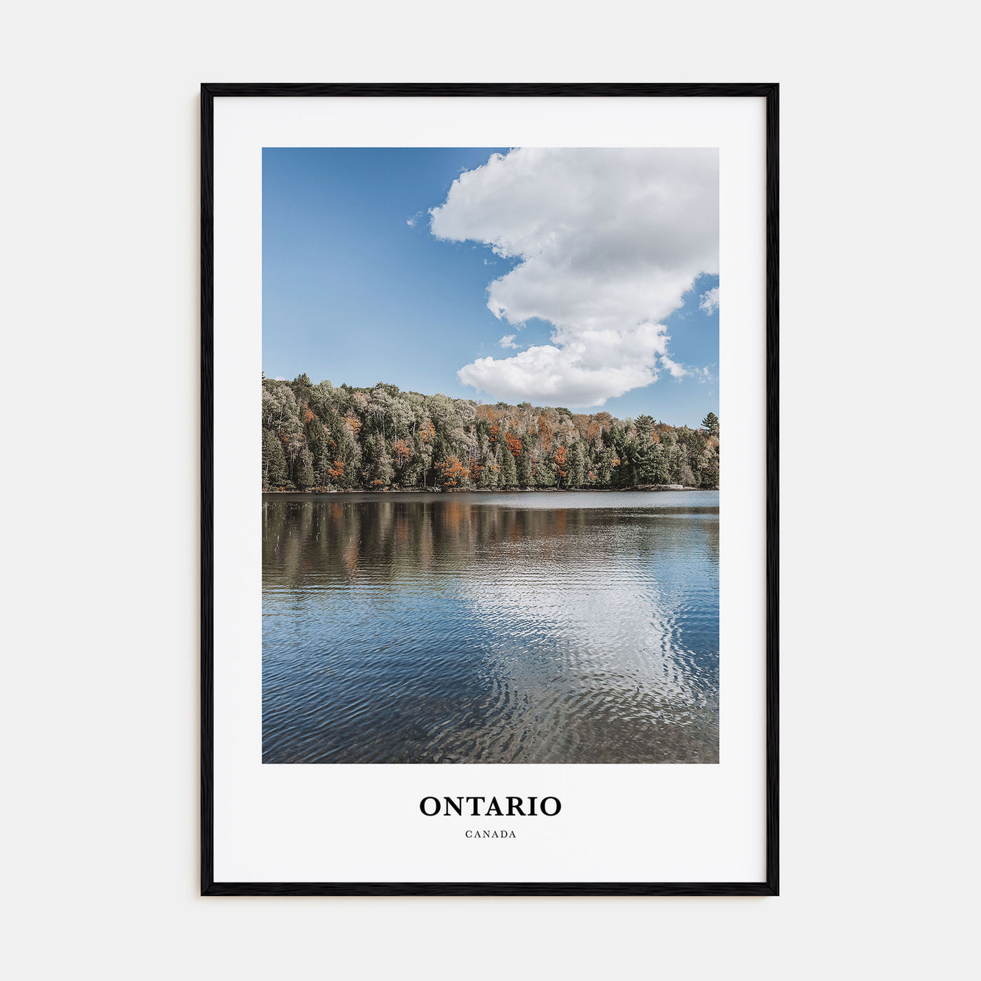 Ontario Portrait Color Poster