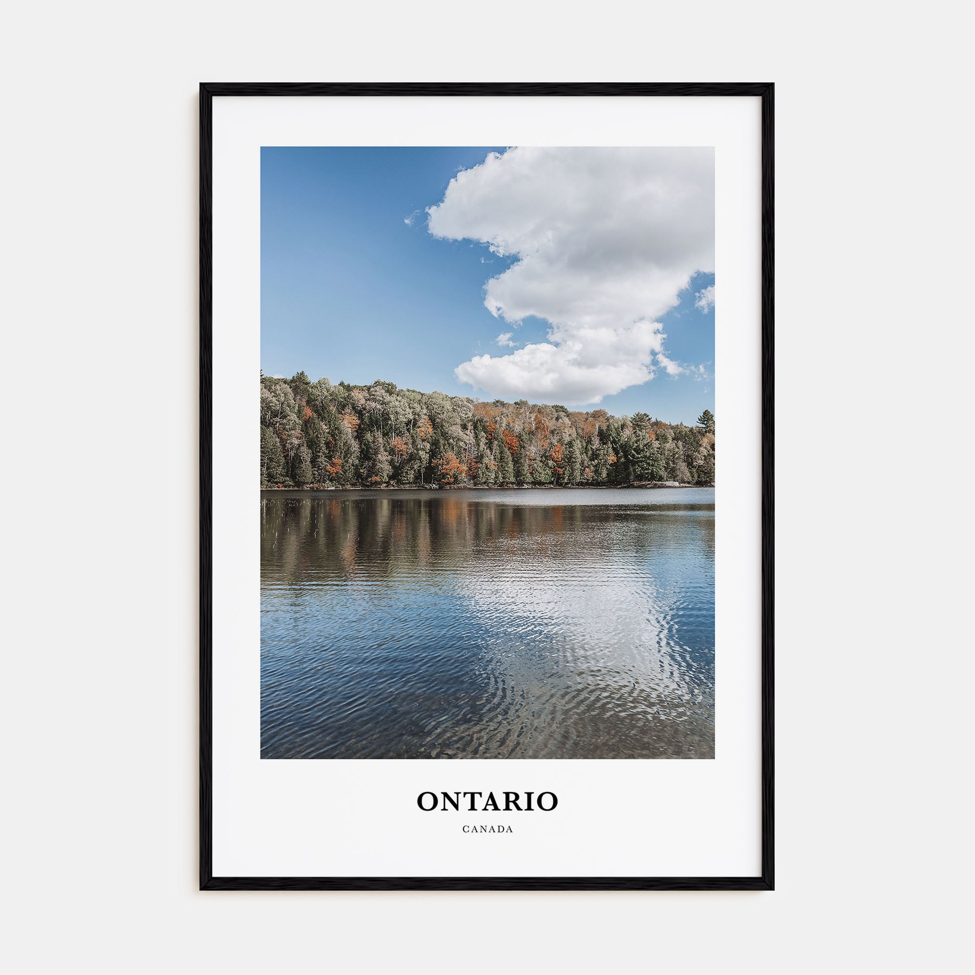 Ontario Portrait Color Poster
