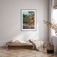 Orange Tree Photo Color No 1 Poster