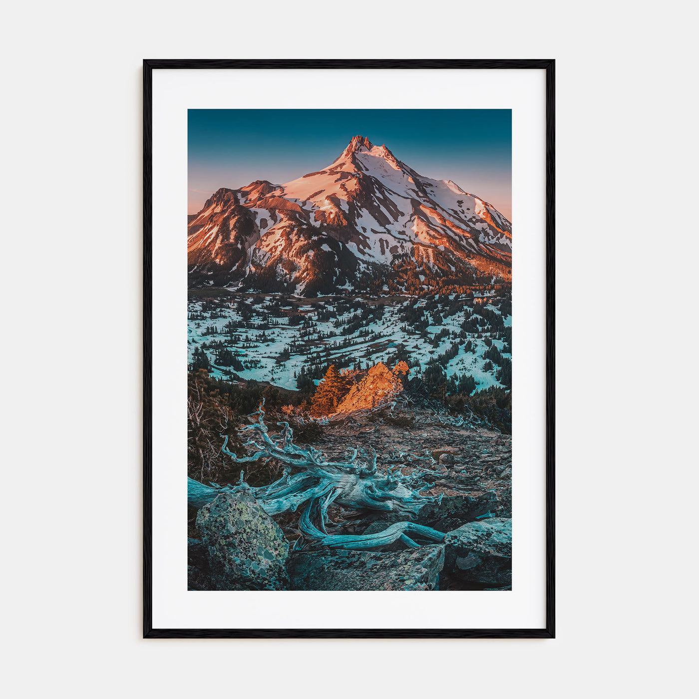 Oregon Photo Color No 1 Poster