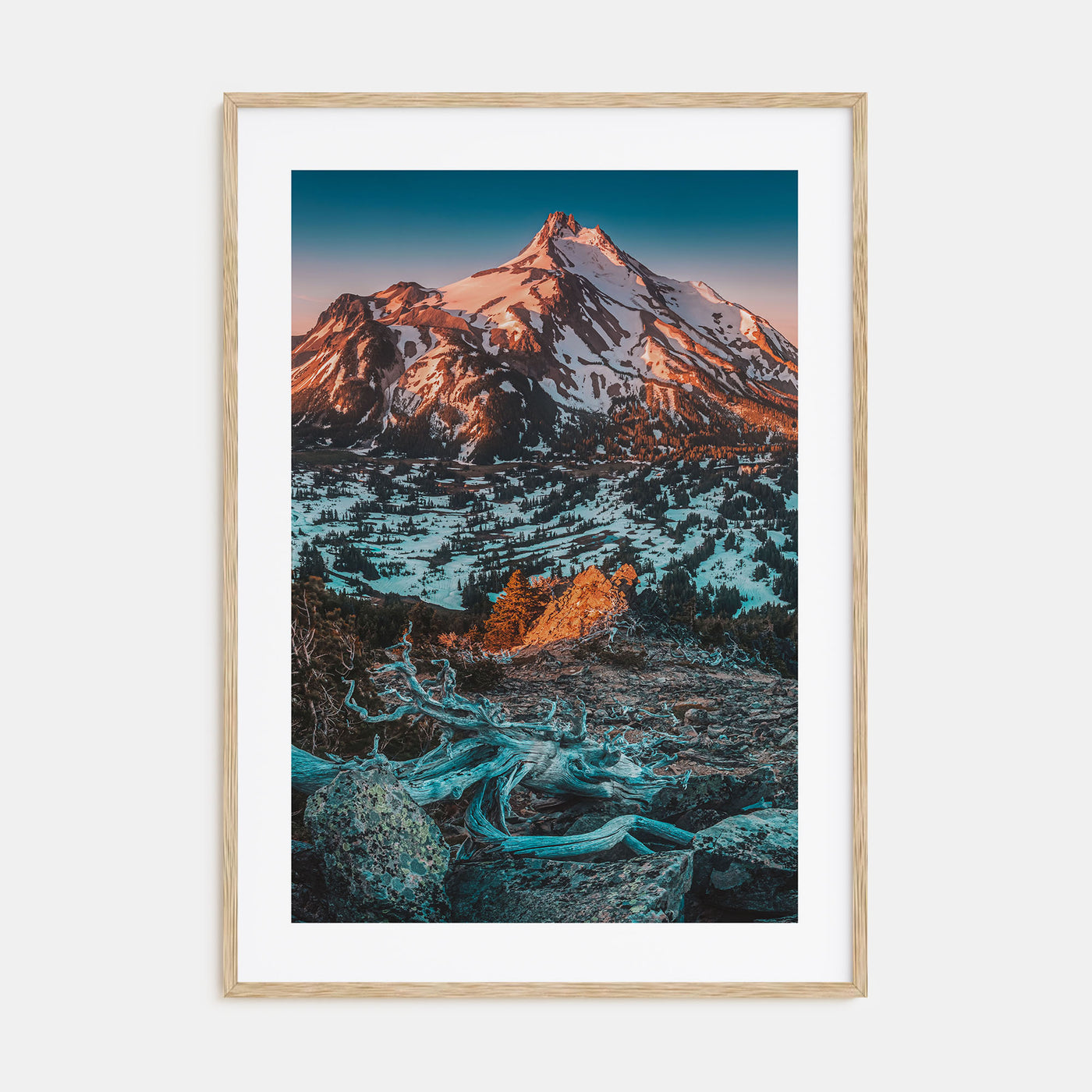 Oregon Photo Color No 1 Poster