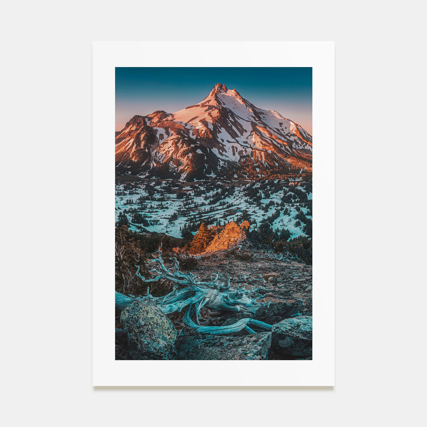Oregon Photo Color No 1 Poster
