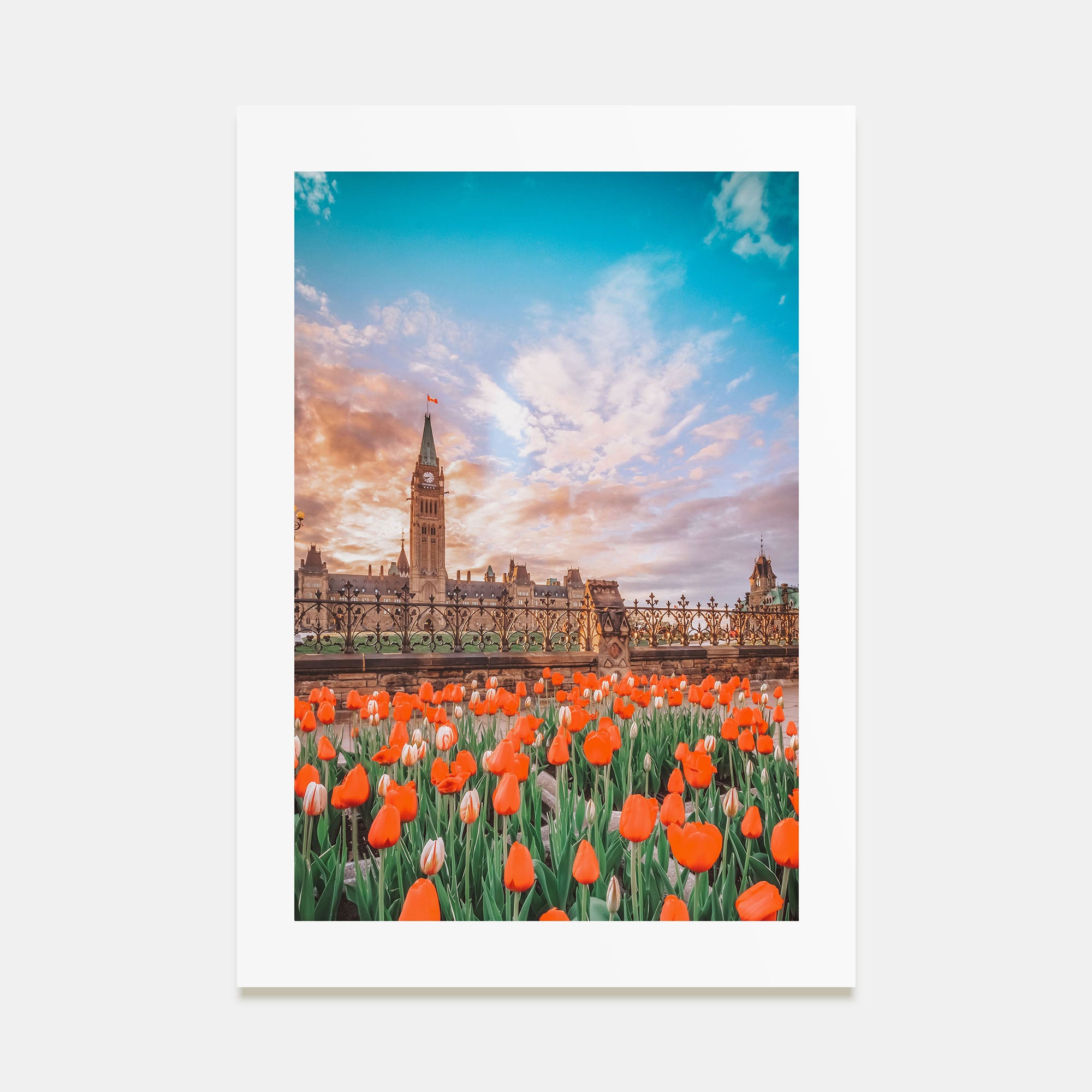 Ottawa Photo Color No 2 Poster