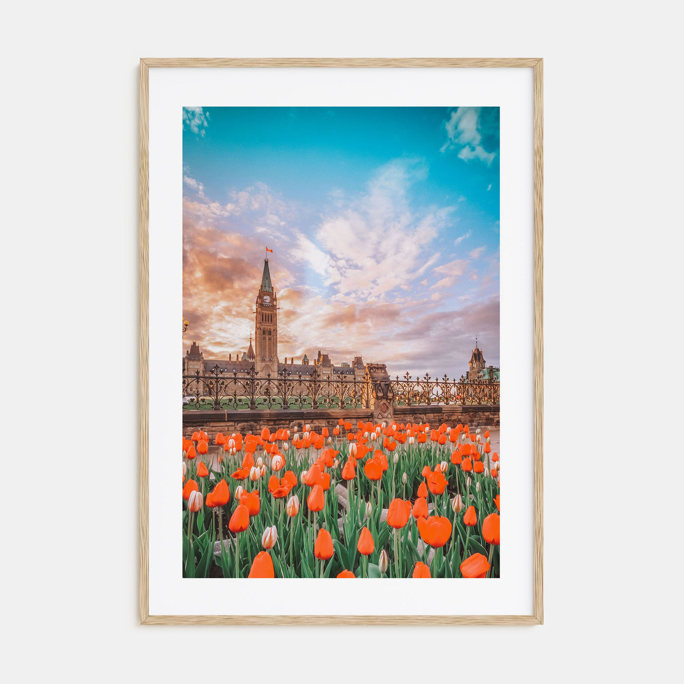 Ottawa Photo Color No 2 Poster