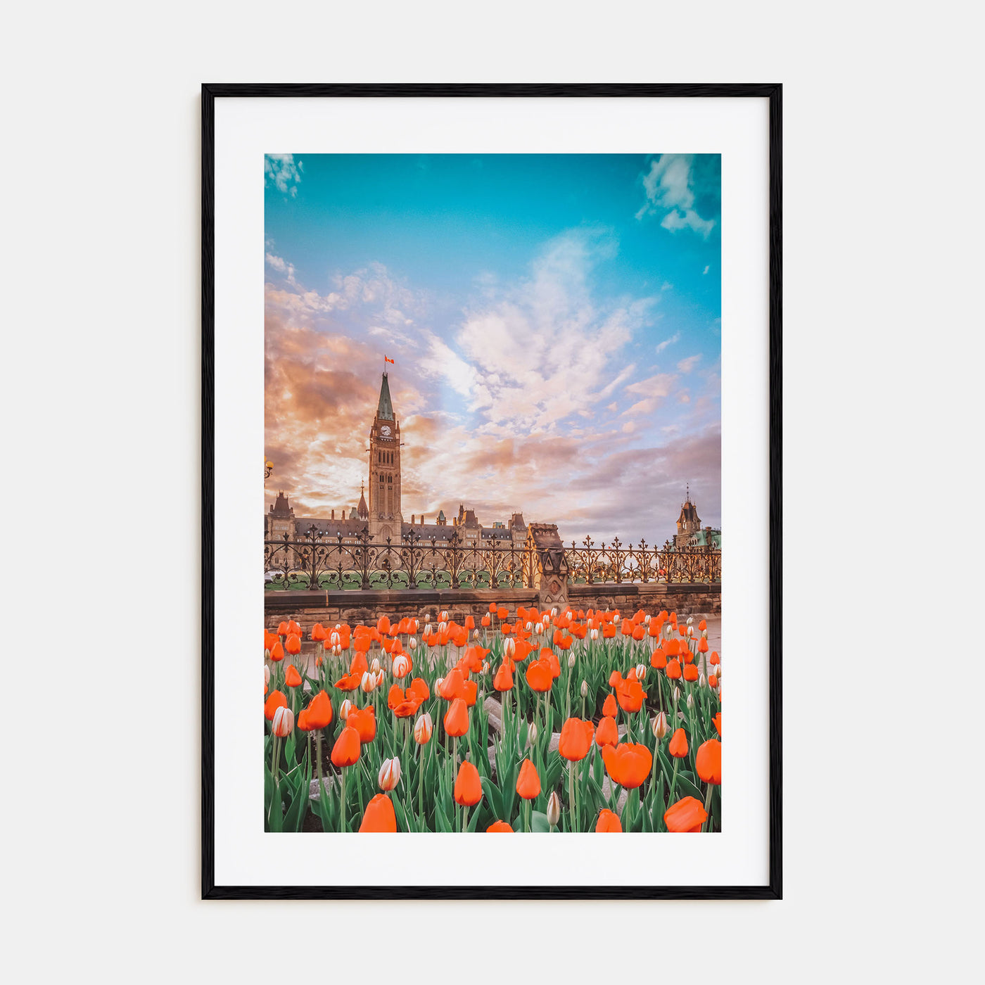 Ottawa Photo Color No 2 Poster