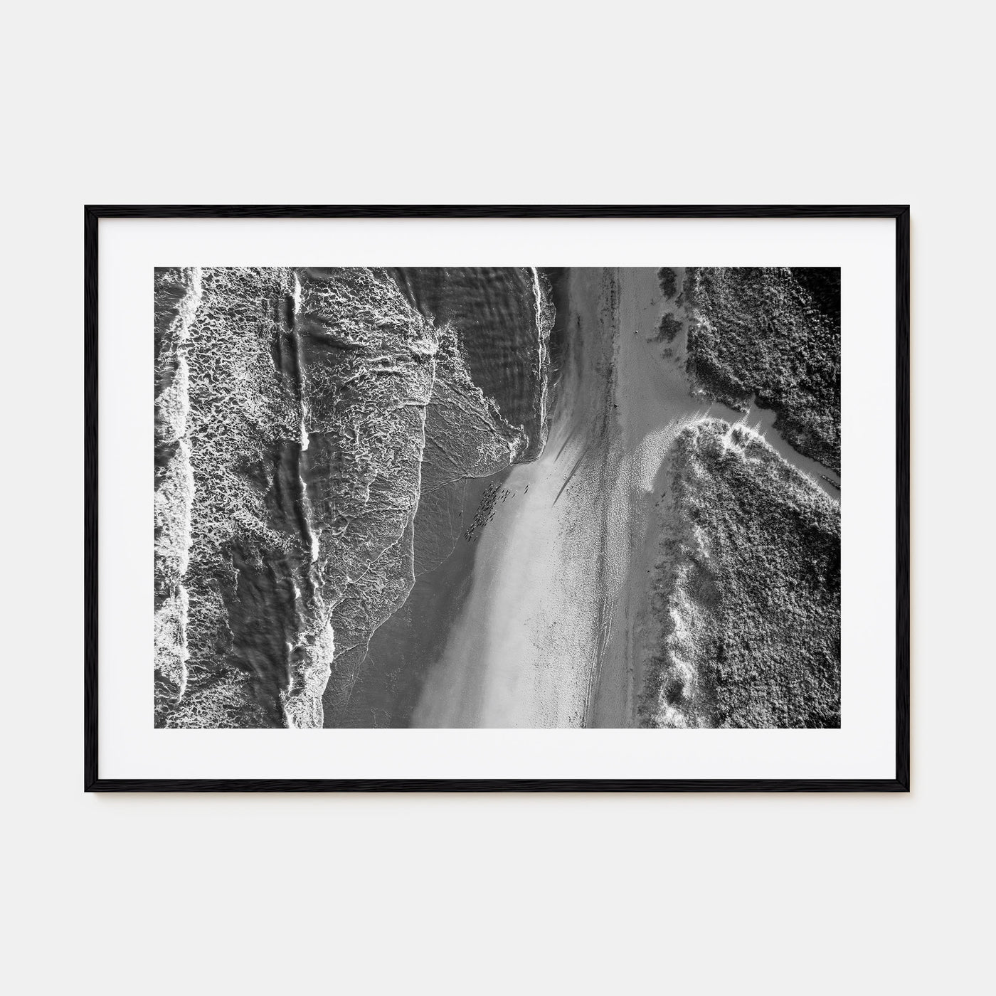 Outer Banks Landscape B&W Poster
