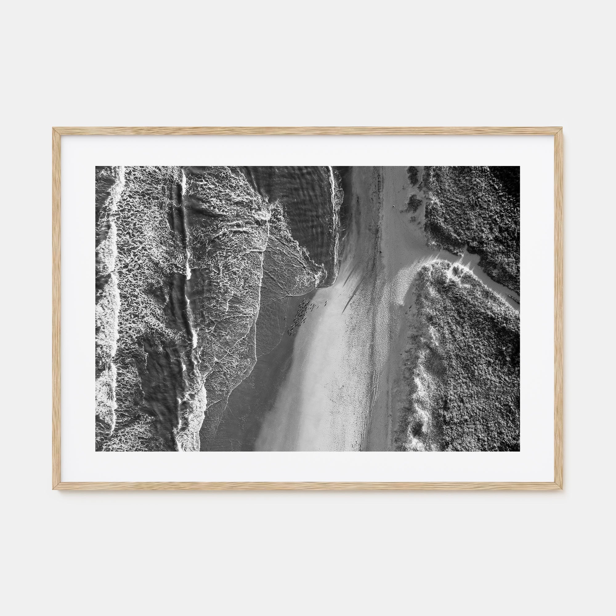 Outer Banks Landscape B&W Poster