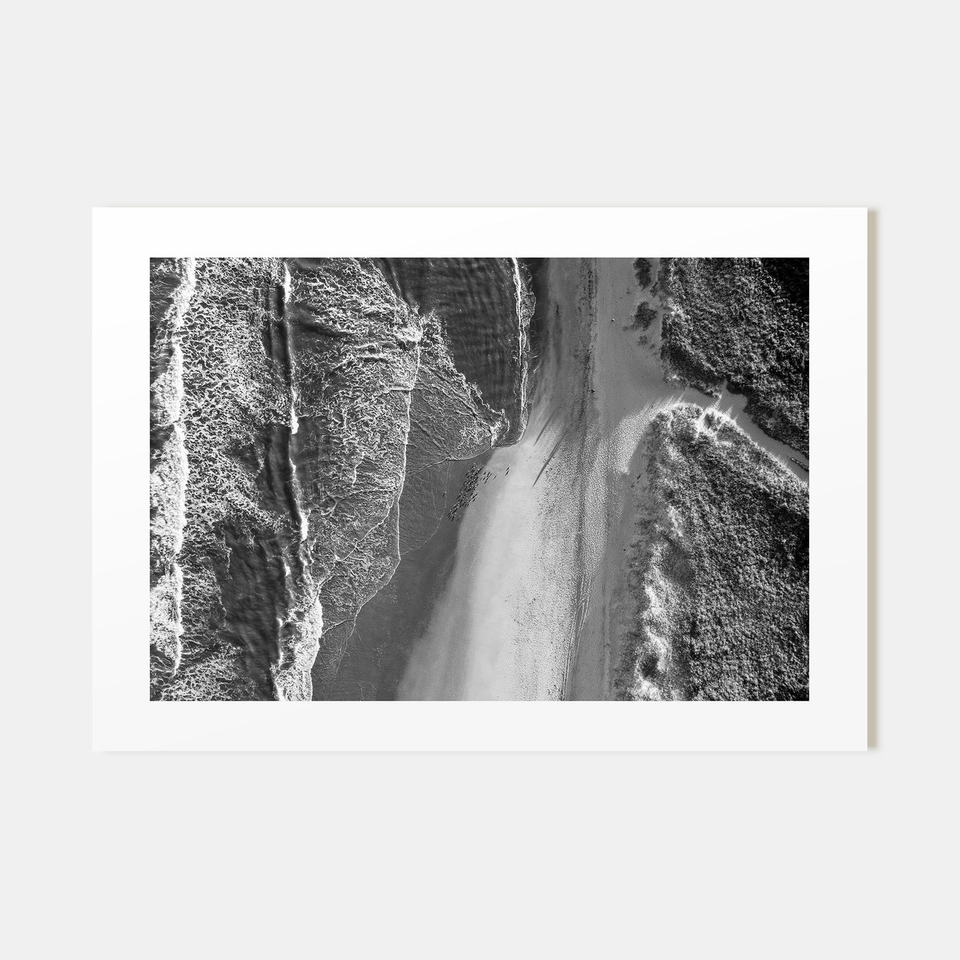 Outer Banks Landscape B&W Poster