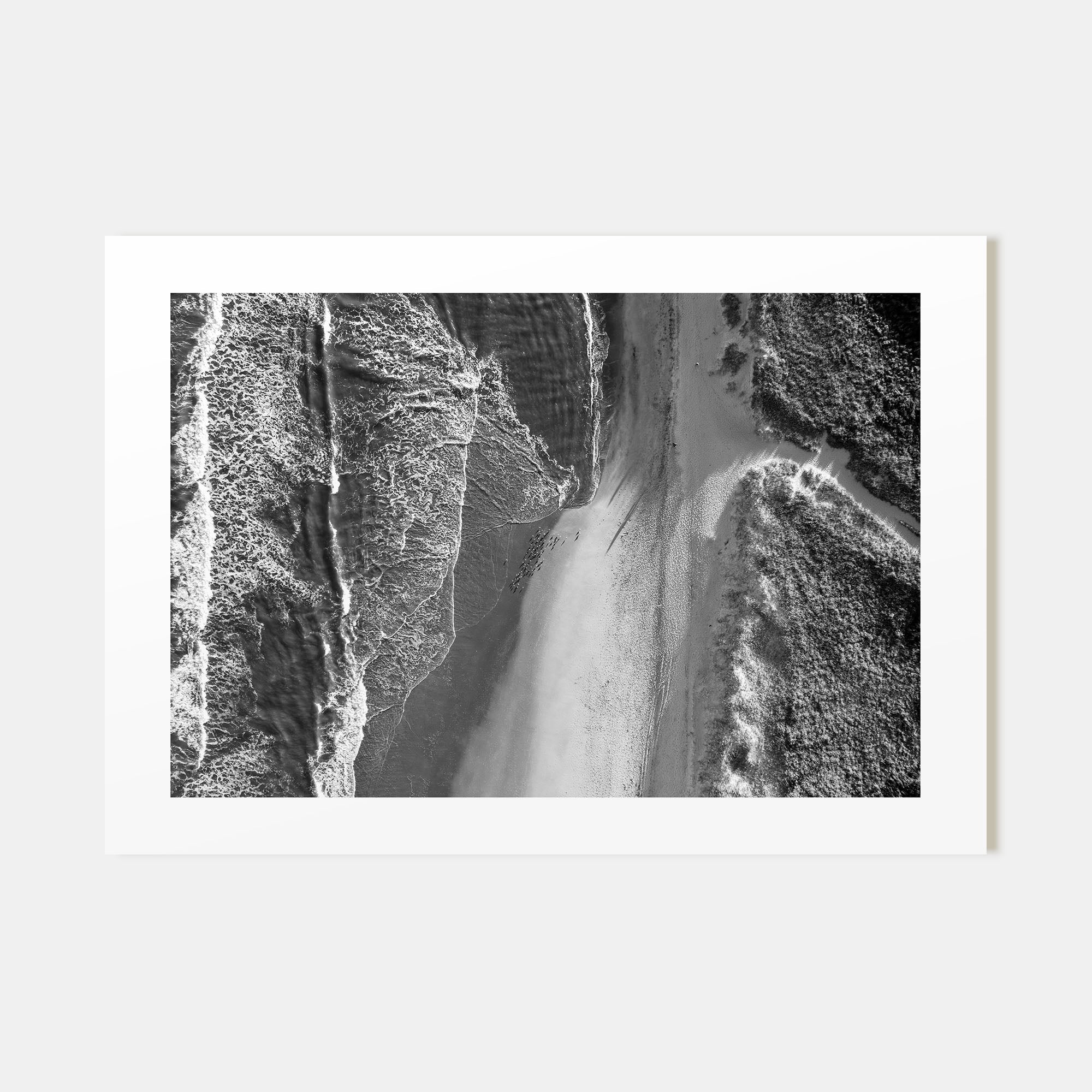 Outer Banks Landscape B&W Poster