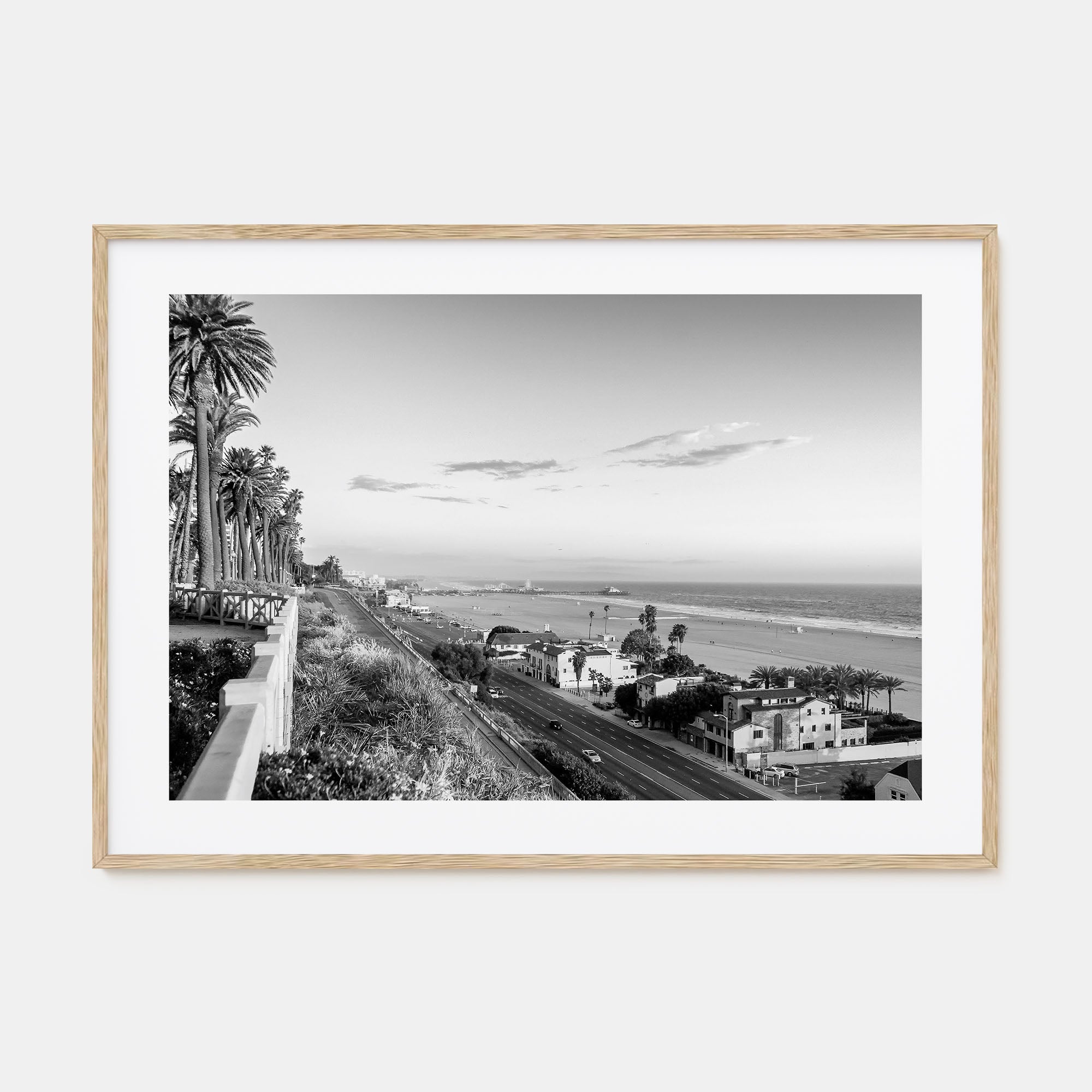 Pacific Palisades Landscape B&W Poster