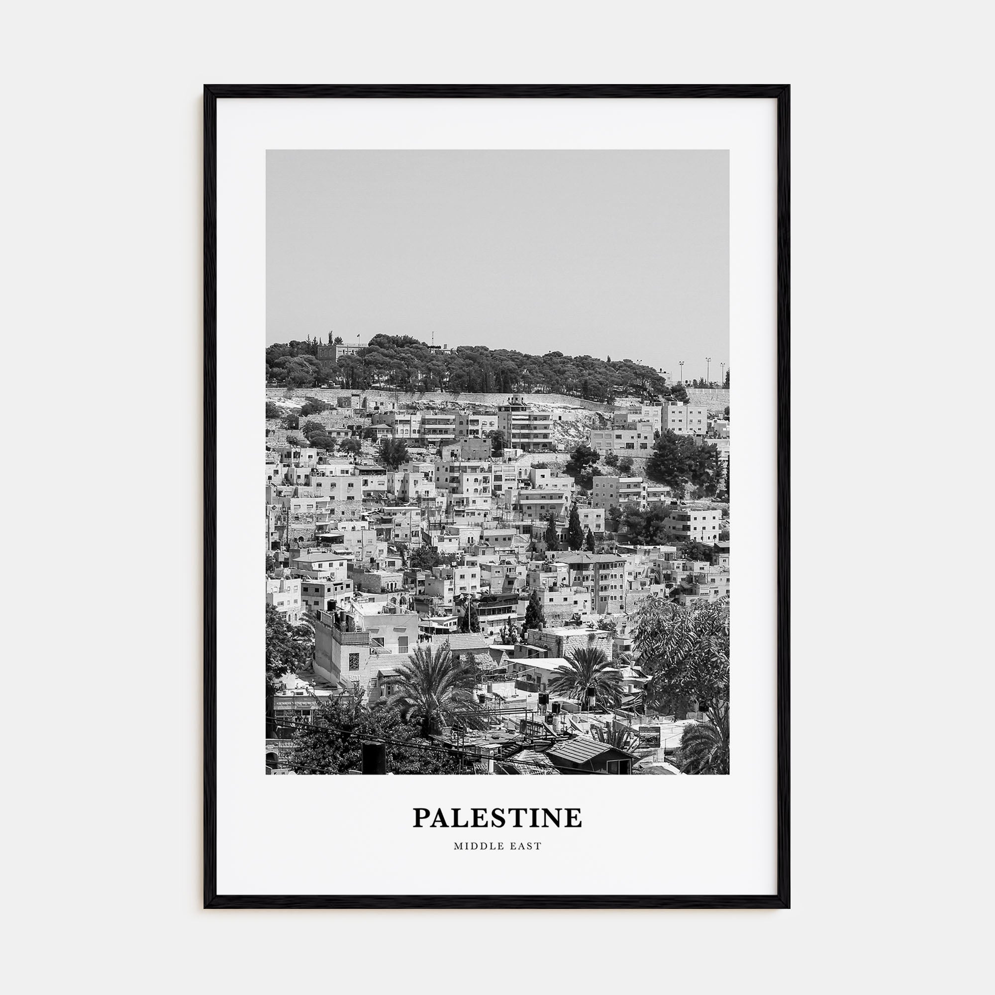 Palestine Portrait B&W No 2 Poster