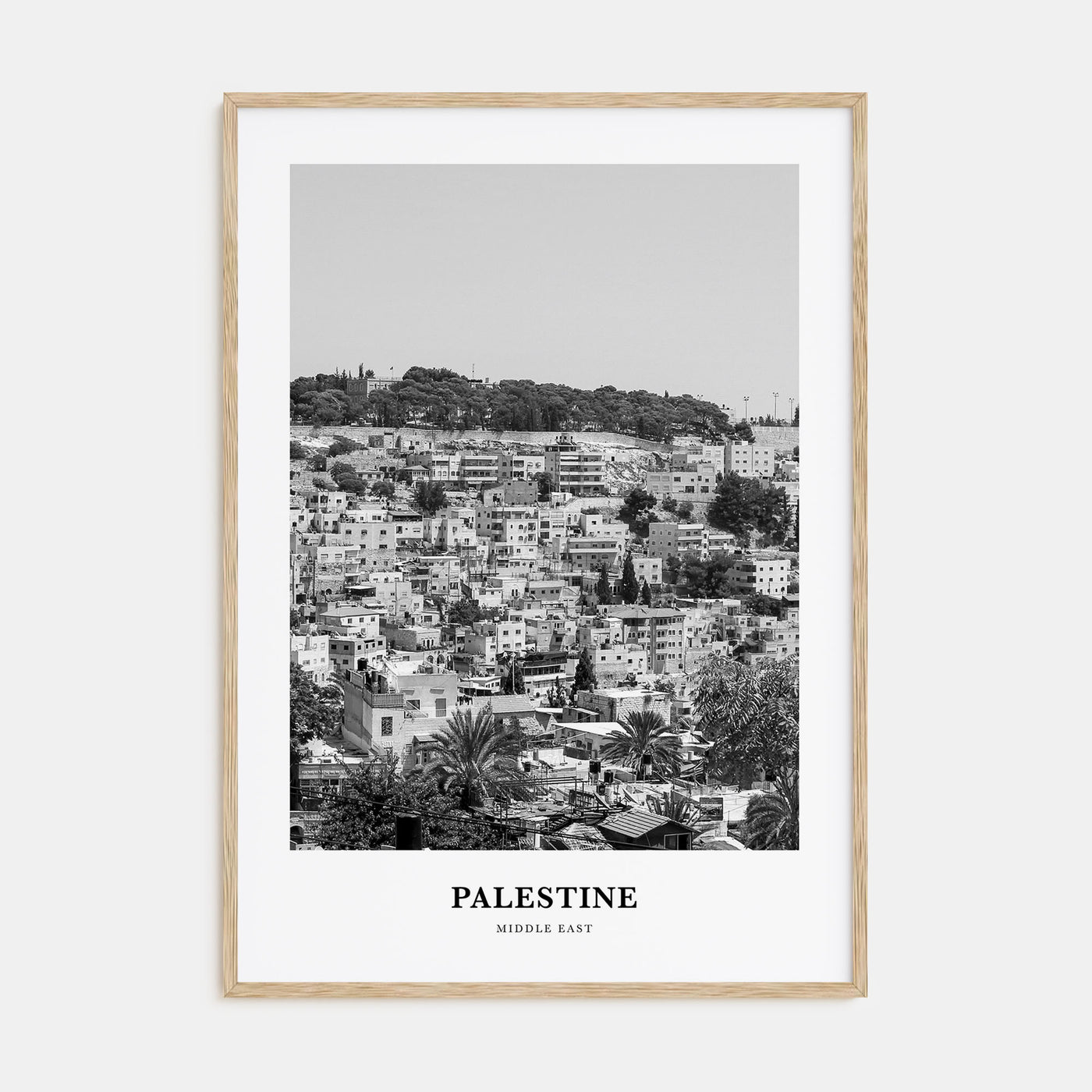 Palestine Portrait B&W No 2 Poster
