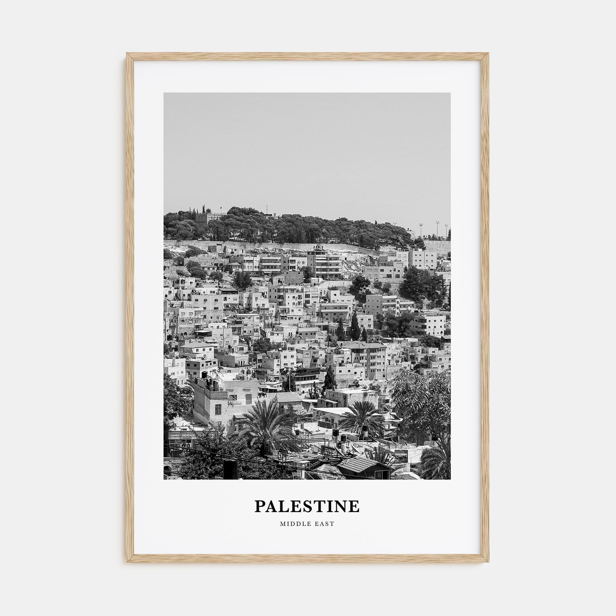 Palestine Portrait B&W No 2 Poster