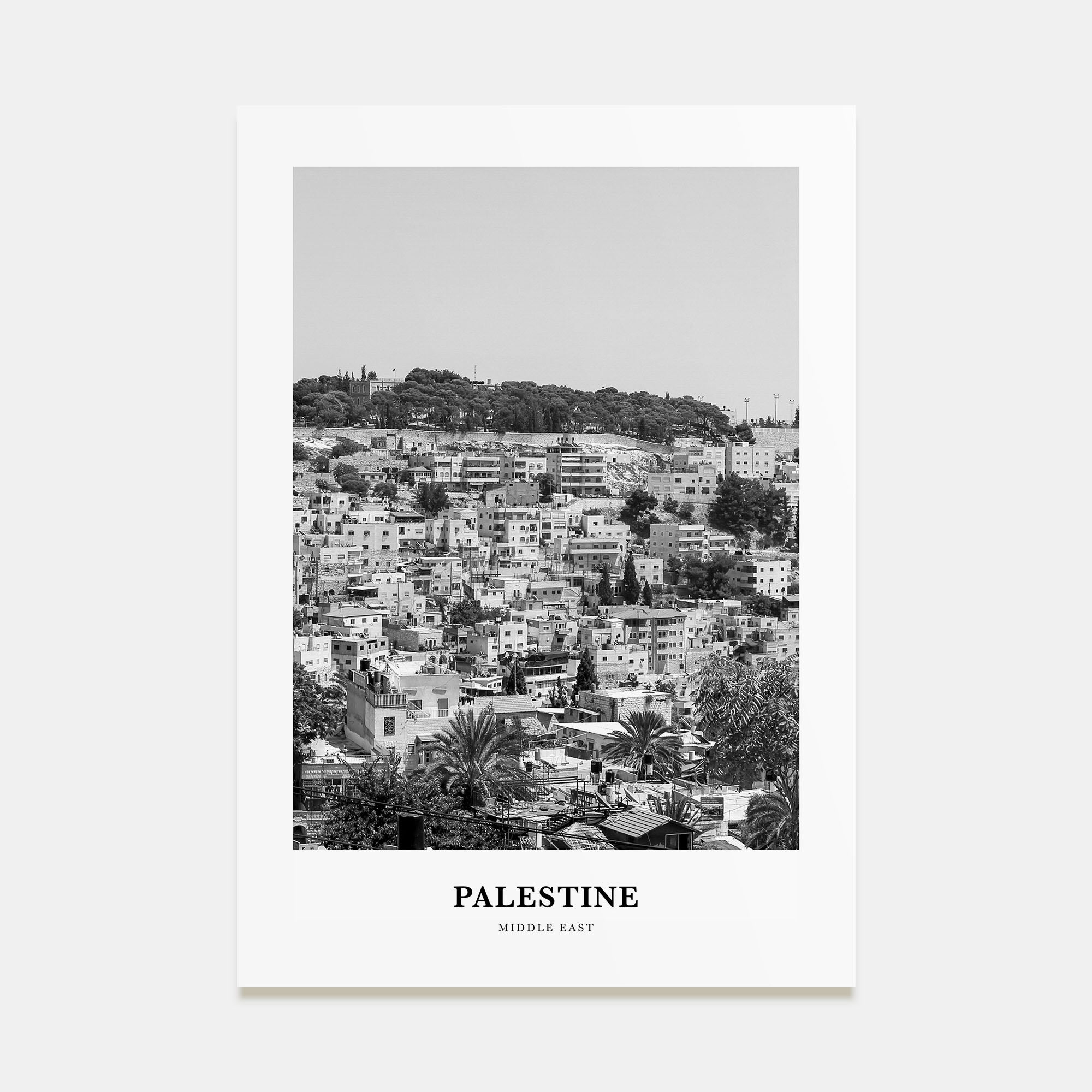 Palestine Portrait B&W No 2 Poster