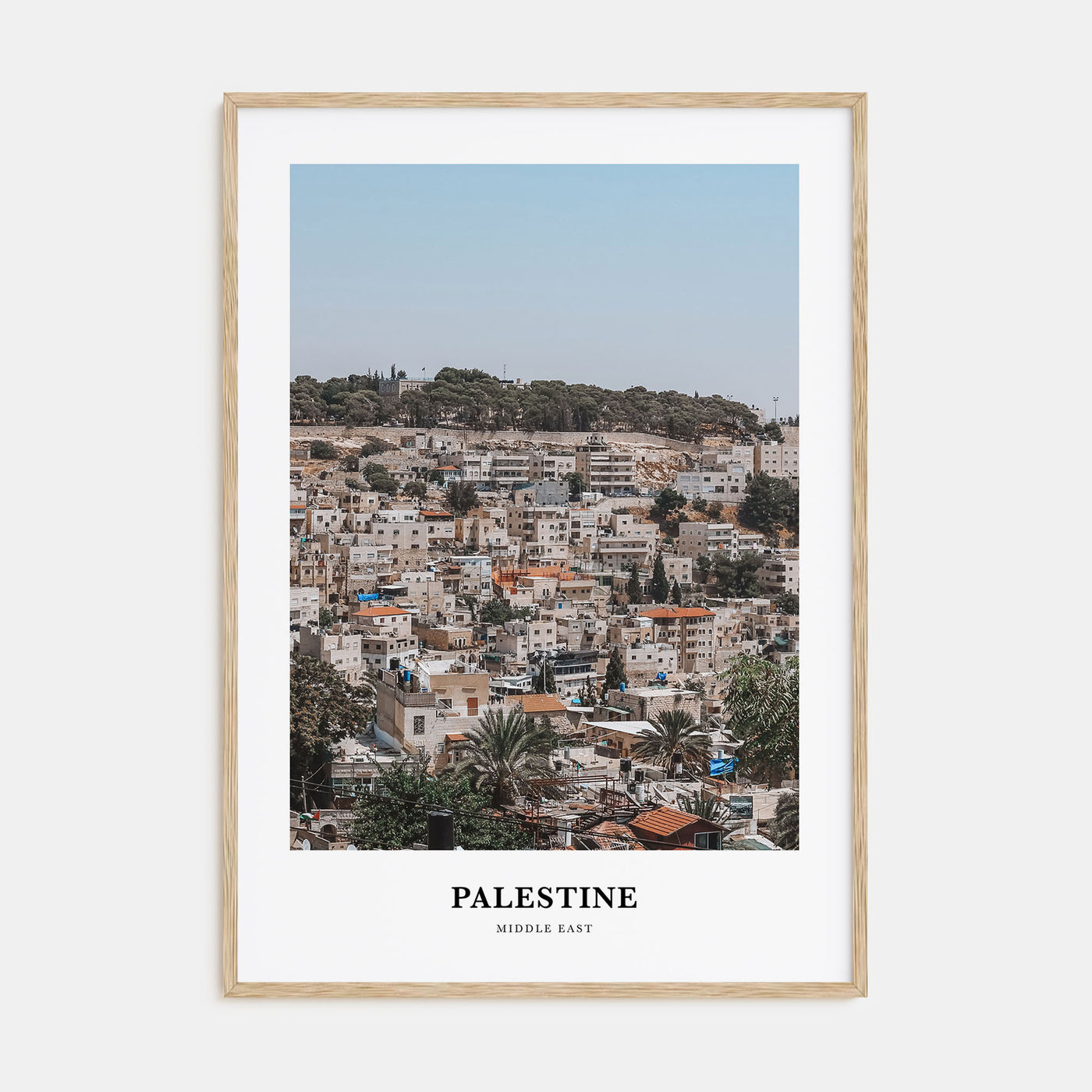 Palestine Portrait Color No 2 Poster