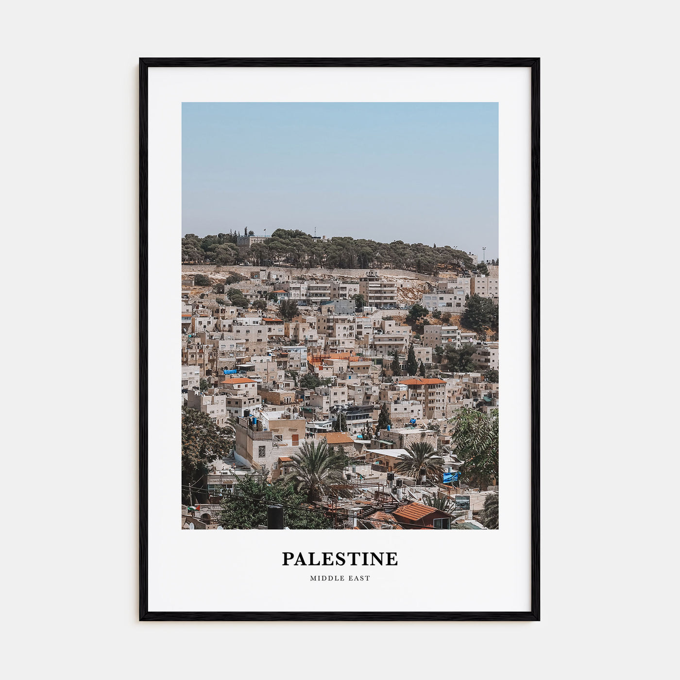Palestine Portrait Color No 2 Poster