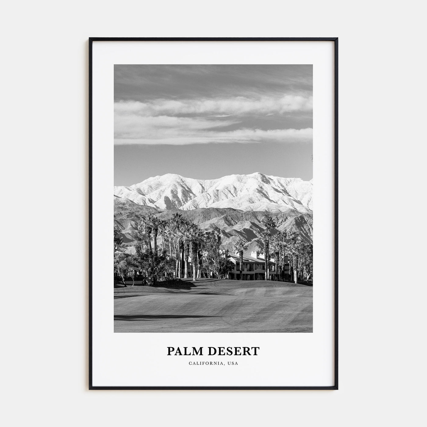 Palm Desert Portrait B&W Poster