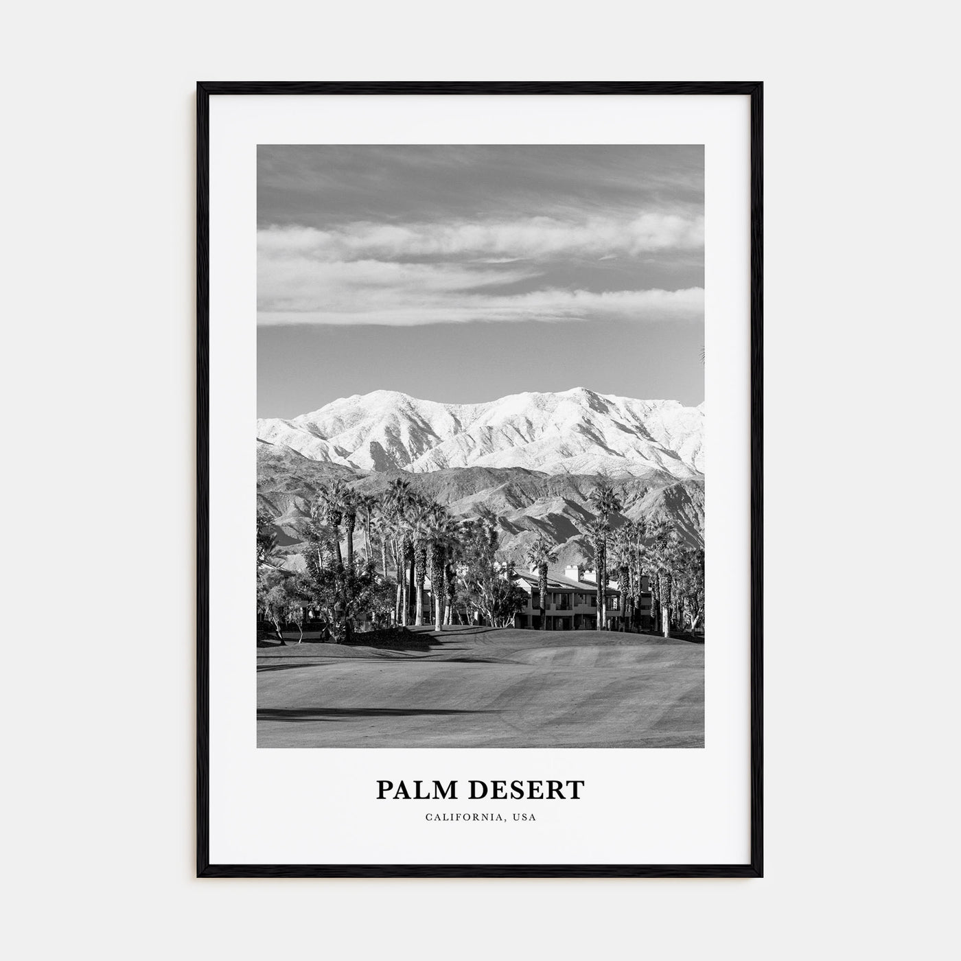 Palm Desert Portrait B&W Poster