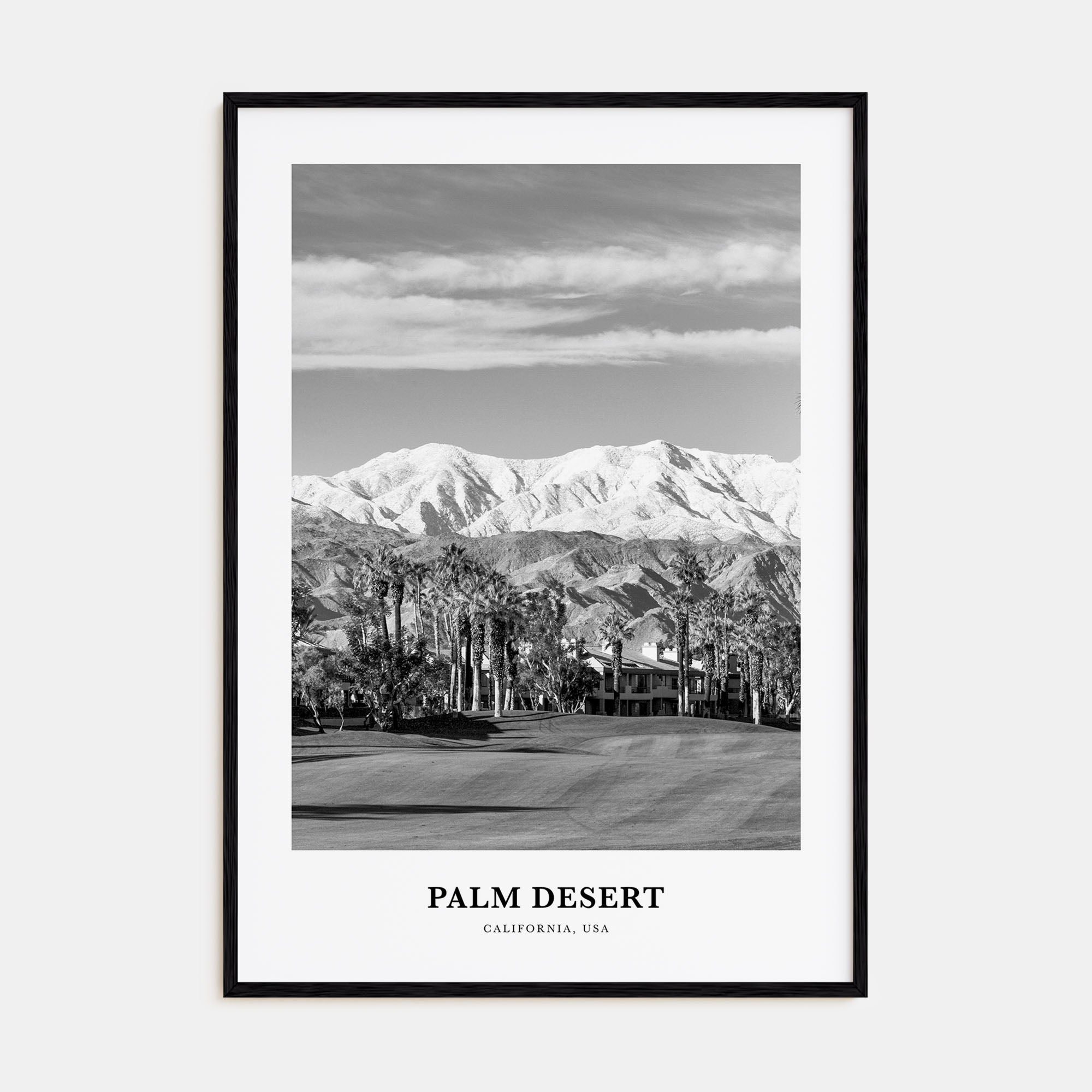 Palm Desert Portrait B&W Poster