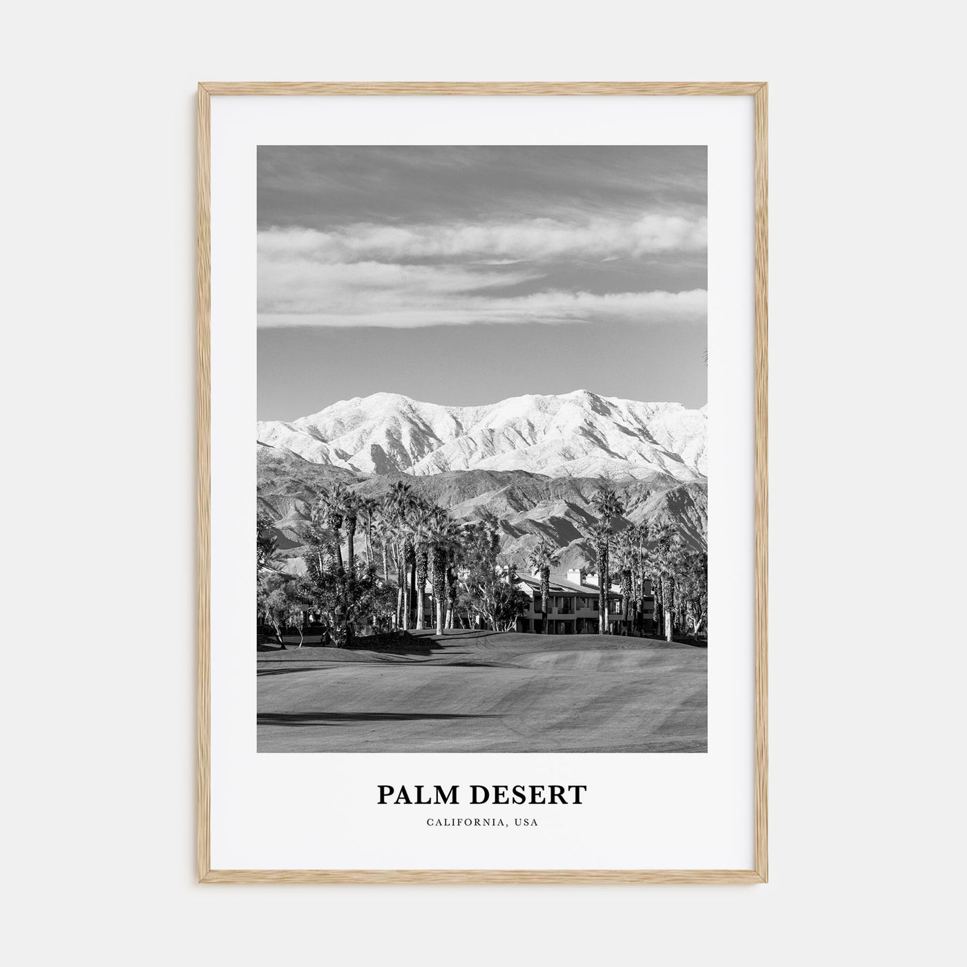 Palm Desert Portrait B&W Poster