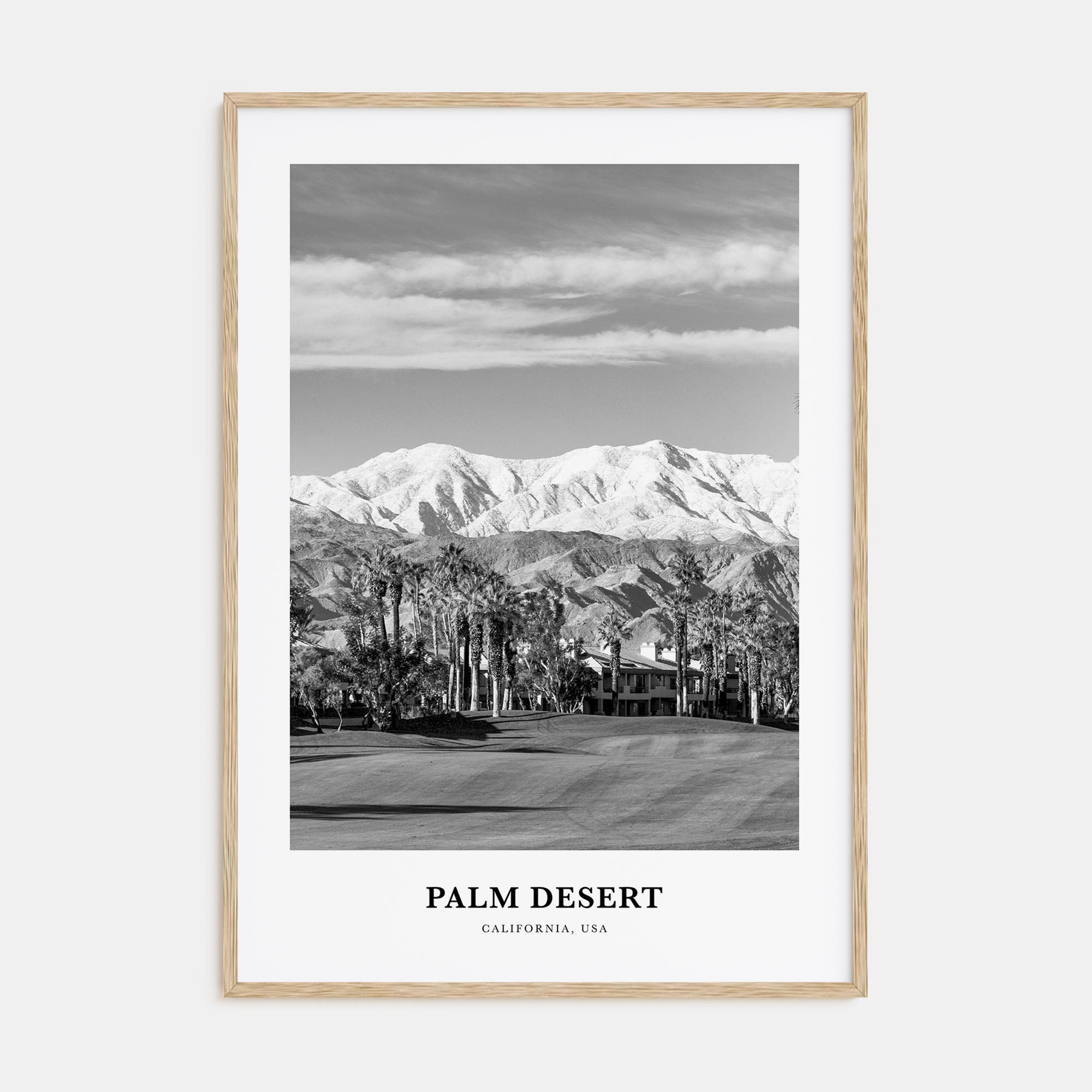 Palm Desert Portrait B&W Poster