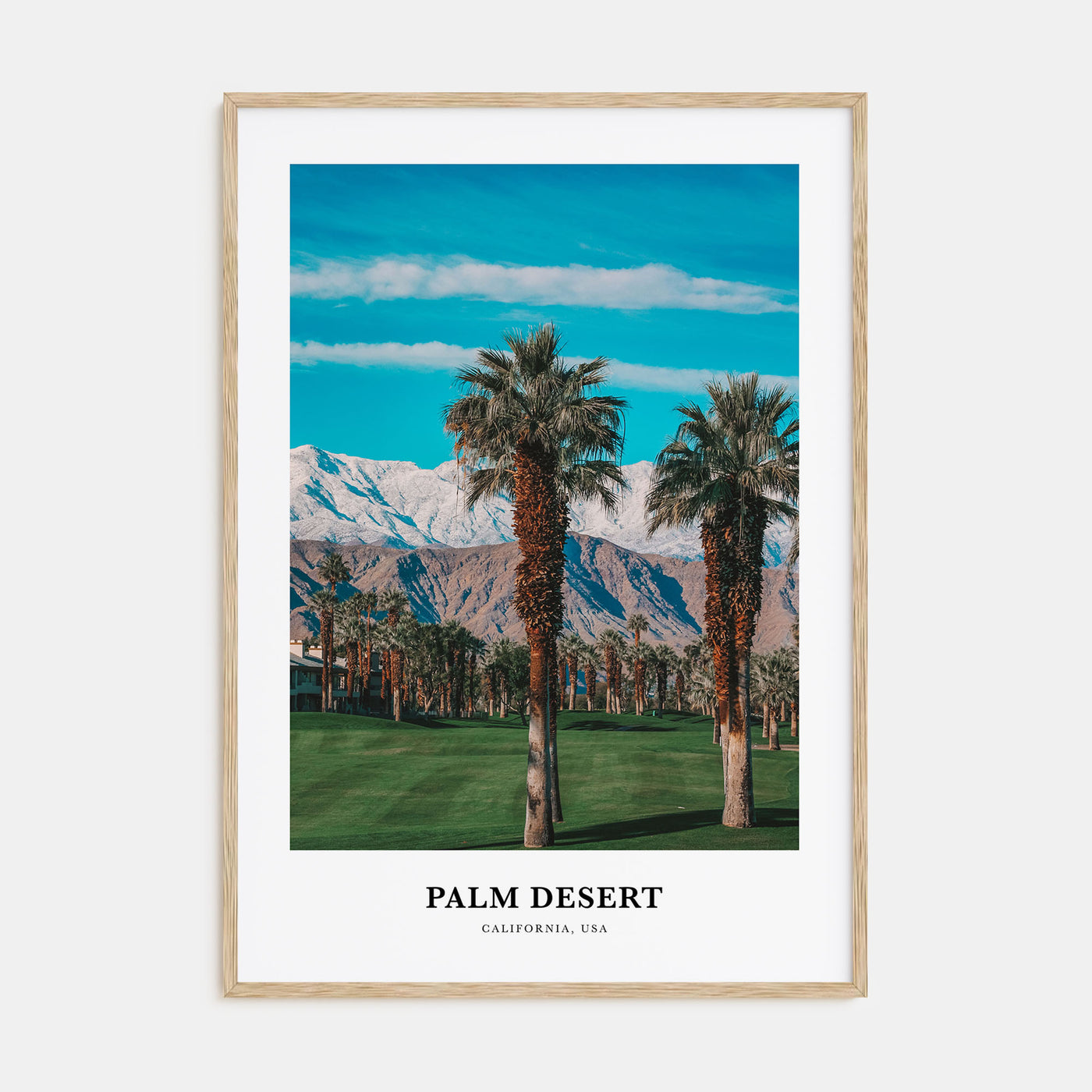 Palm Desert Portrait Color Poster