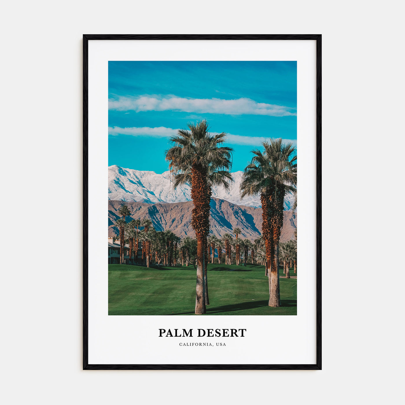 Palm Desert Portrait Color Poster