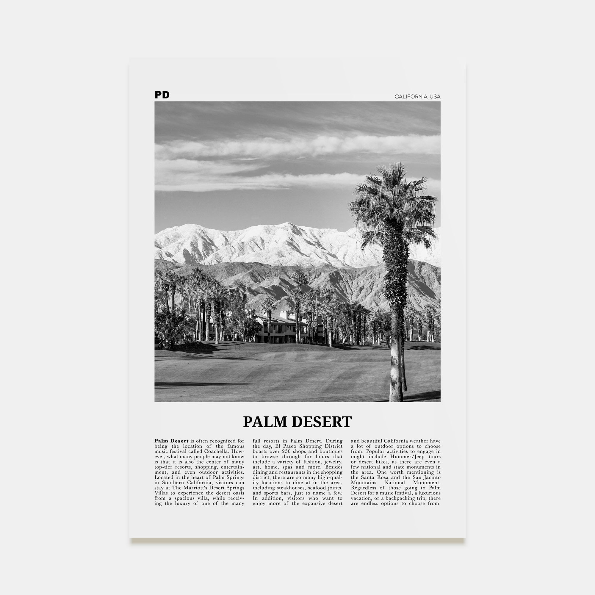Palm Desert Travel B&W Poster