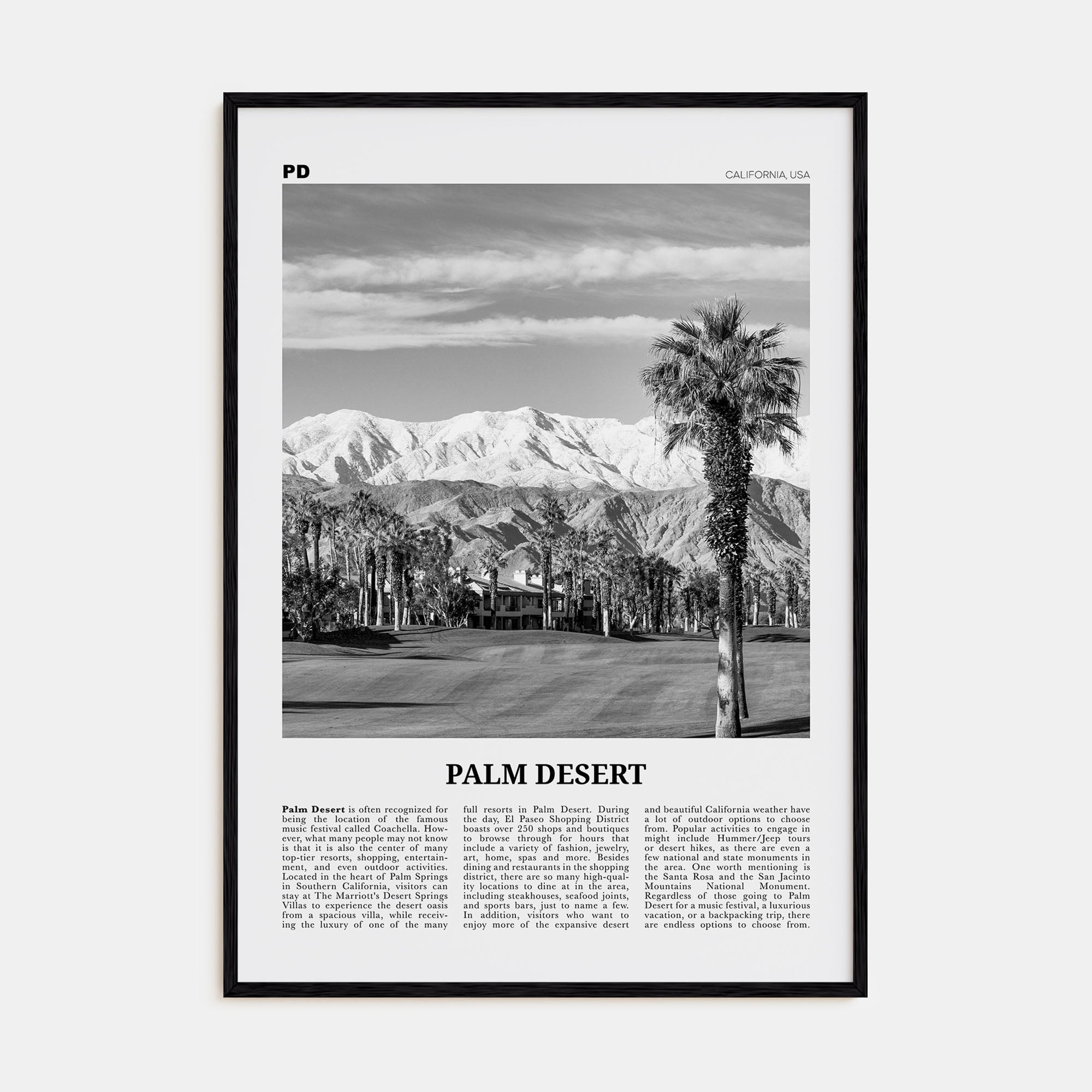 Palm Desert Travel B&W Poster