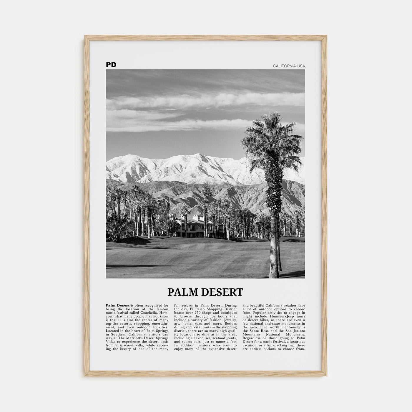 Palm Desert Travel B&W Poster