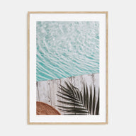 Palm Leaf Pool Photo Color Poster