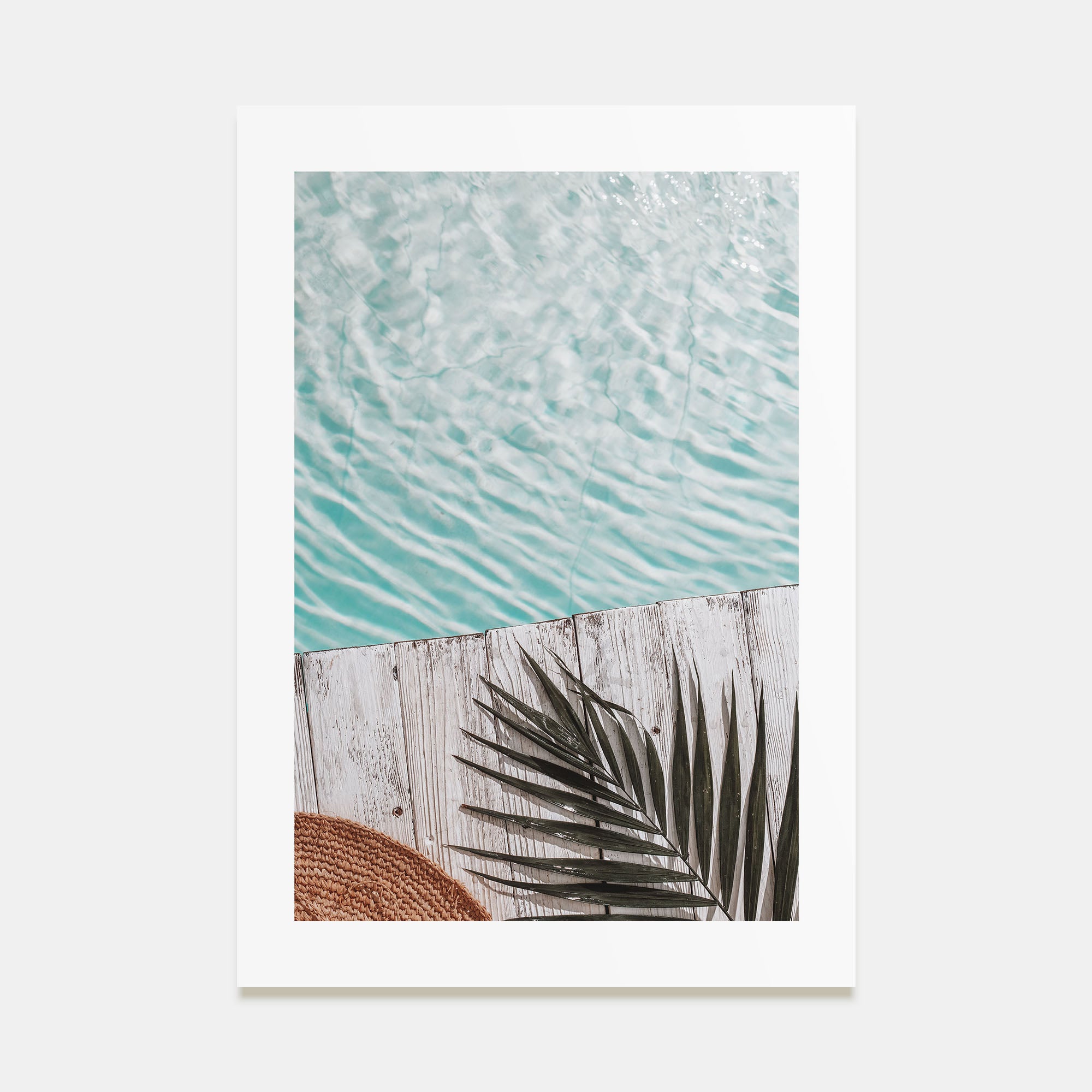 Palm Leaf Pool Photo Color Poster