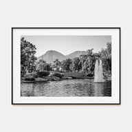 Palm Springs Landscape B&W Poster