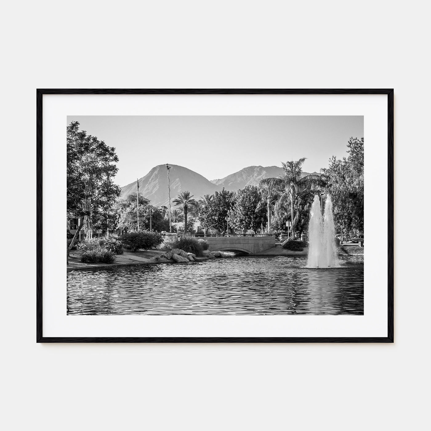 Palm Springs Landscape B&W Poster