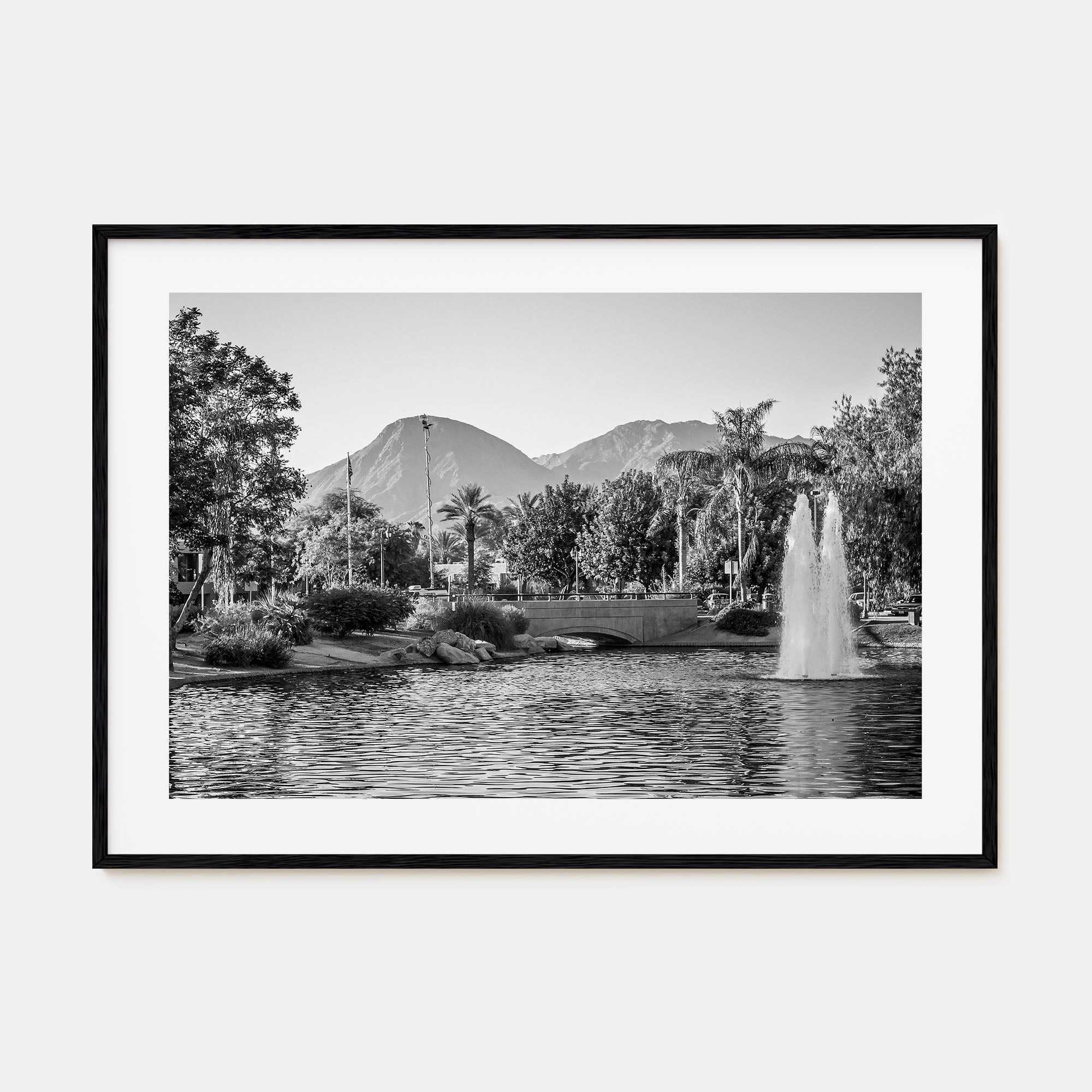 Palm Springs Landscape B&W Poster
