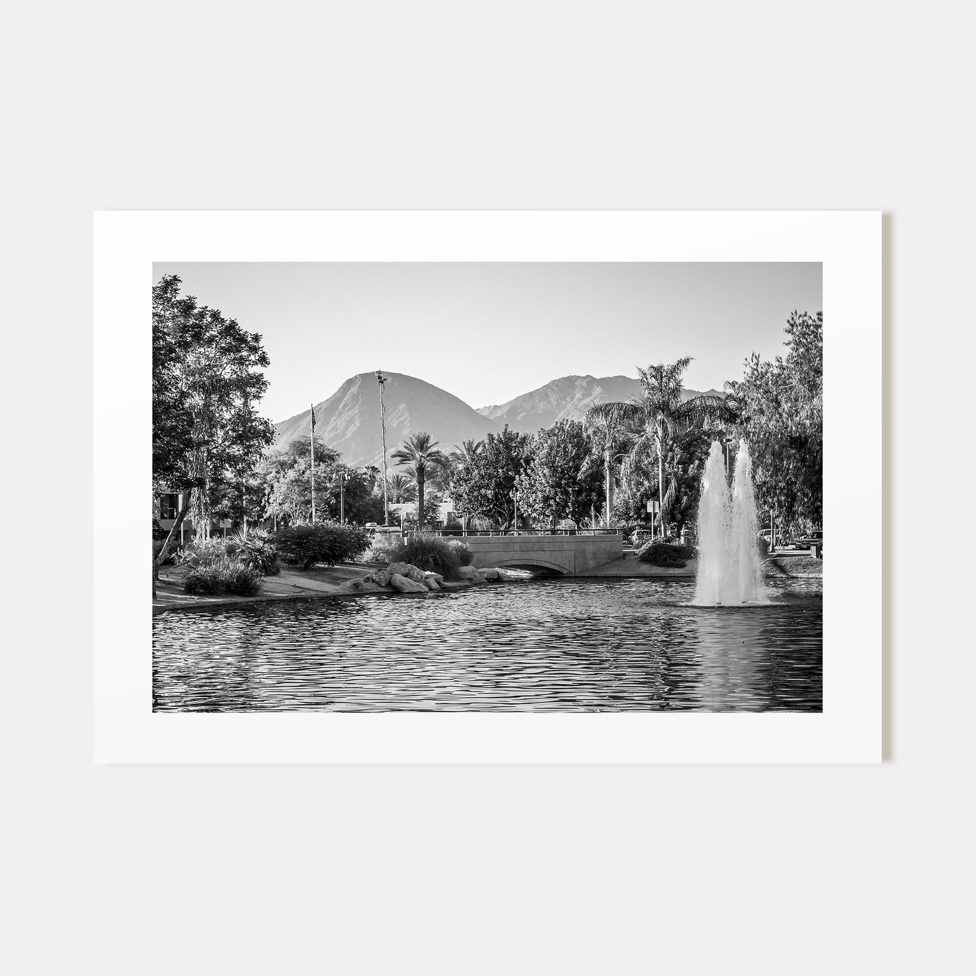 Palm Springs Landscape B&W Poster