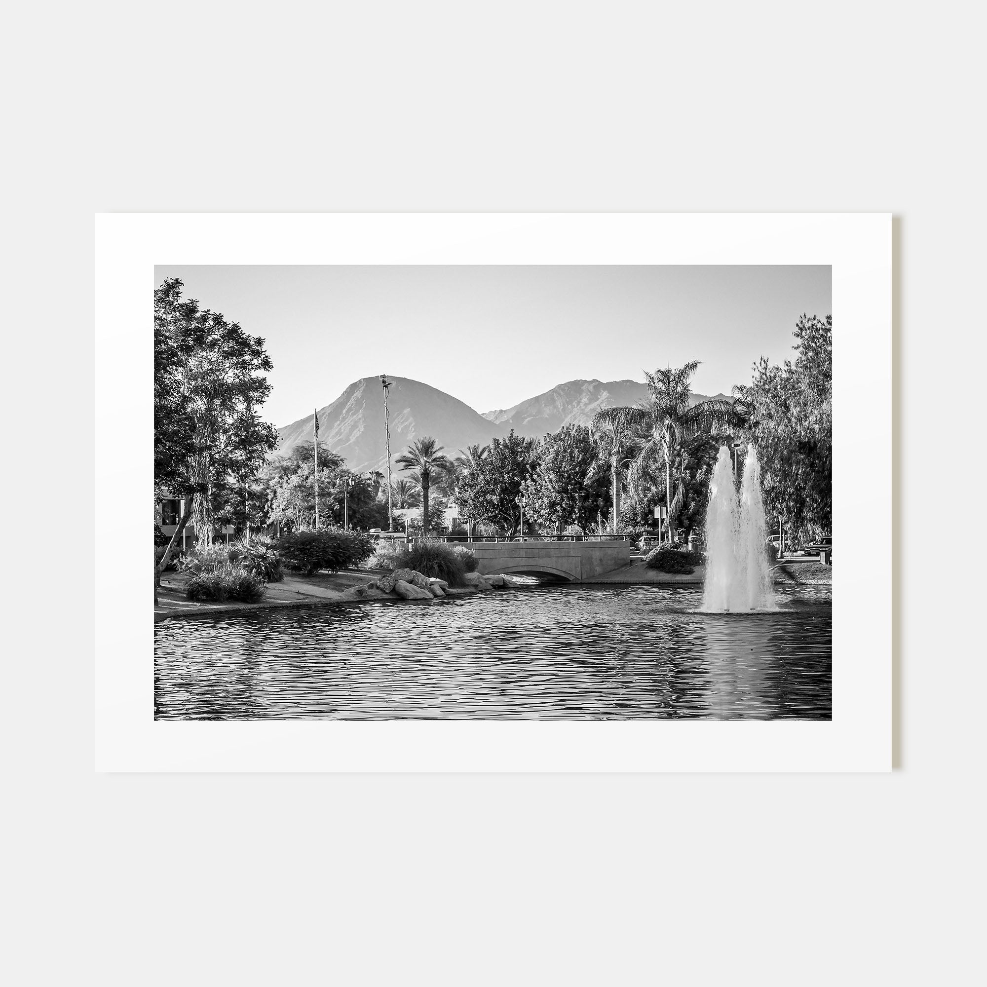 Palm Springs Landscape B&W Poster