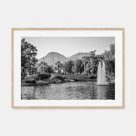 Palm Springs Landscape B&W Poster