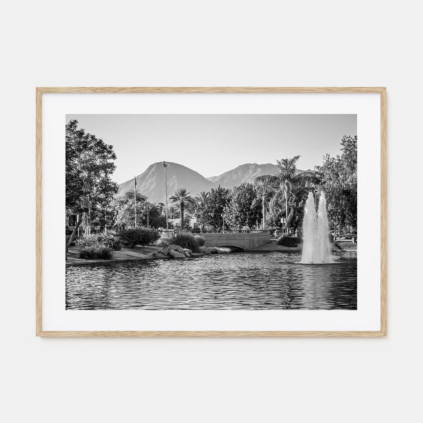 Palm Springs Landscape B&W Poster
