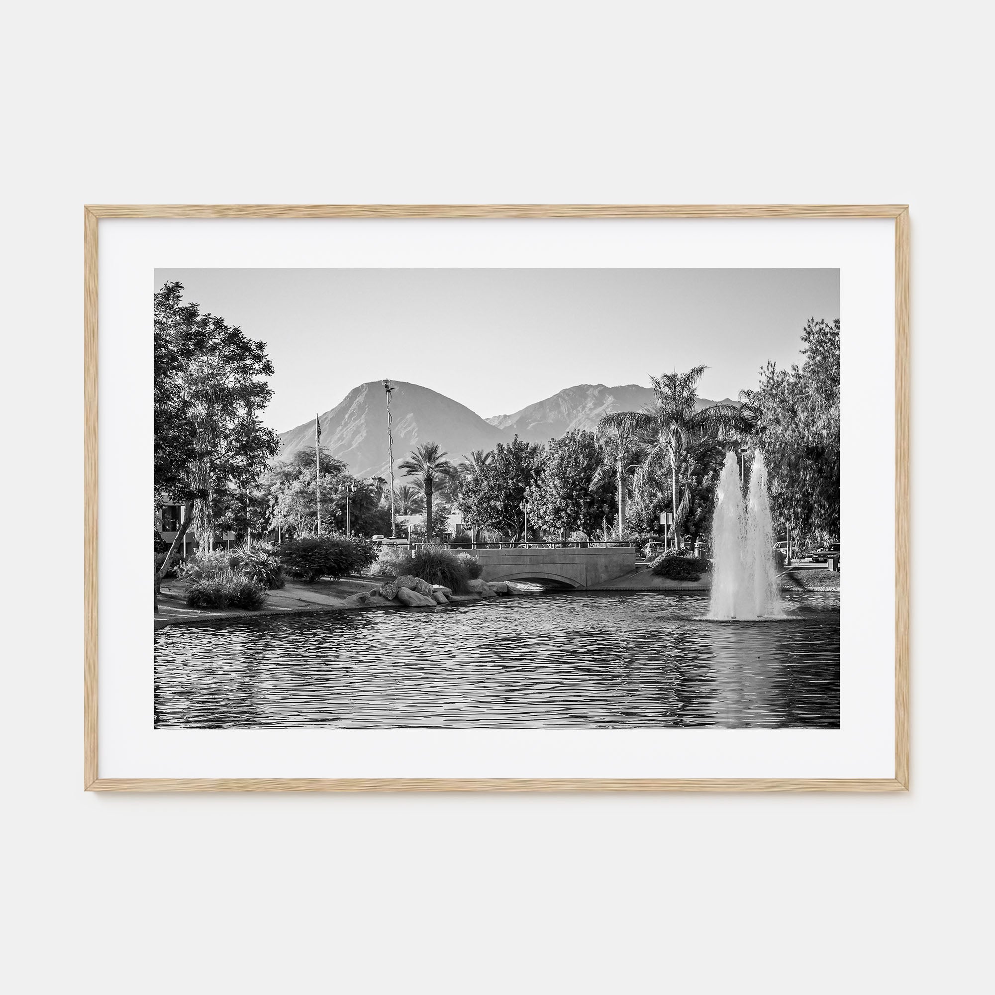 Palm Springs Landscape B&W Poster