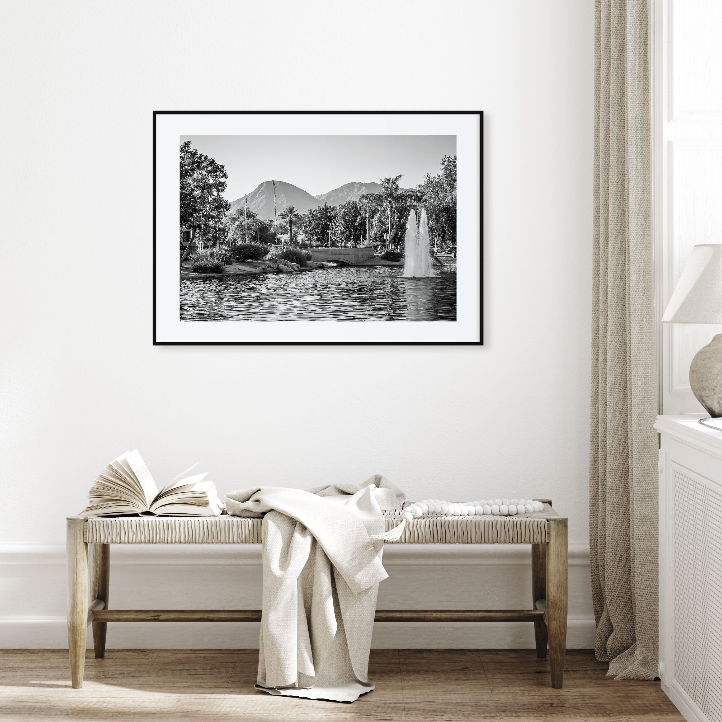 Palm Springs Landscape B&W Poster