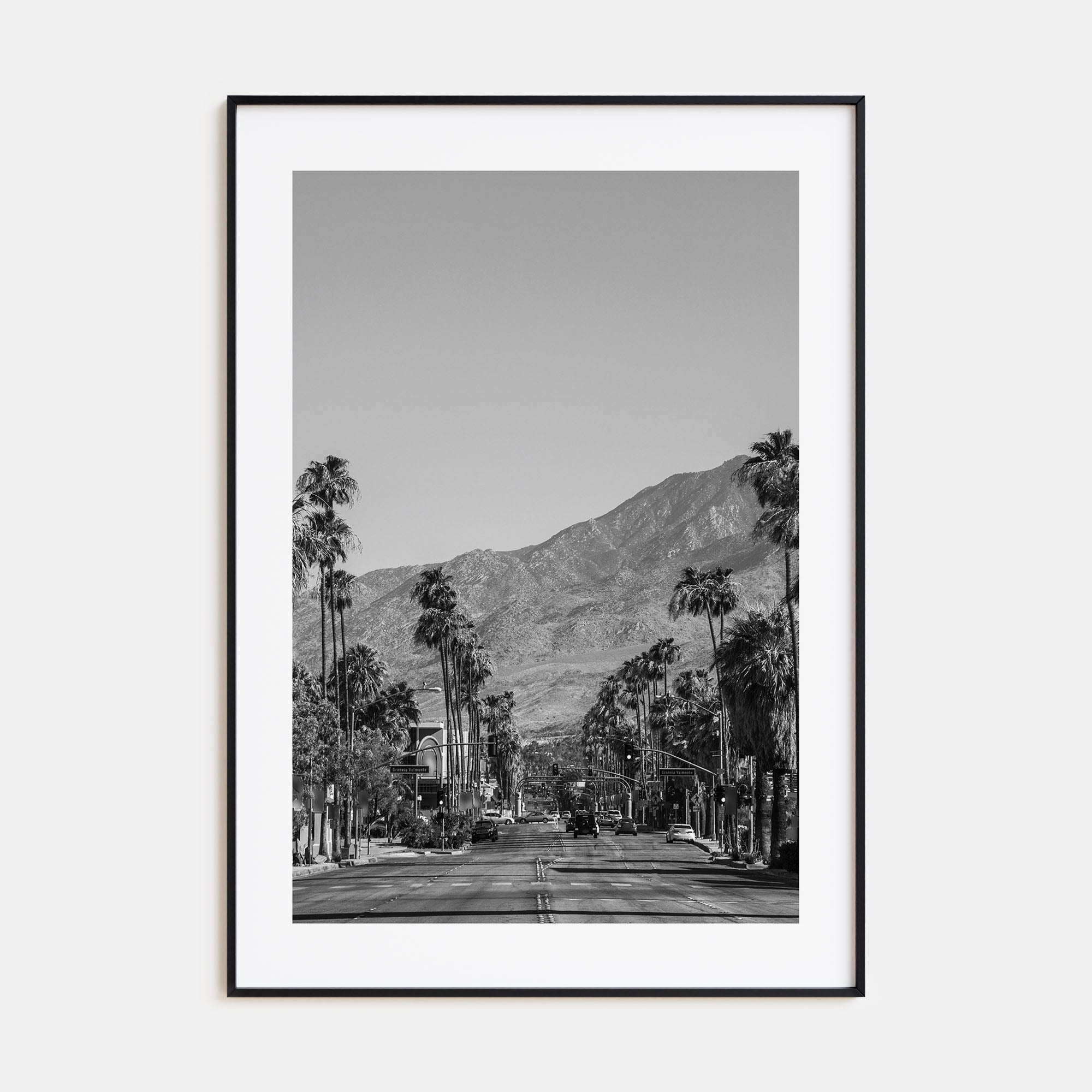 Palm Springs Photo B&W No 1 Poster
