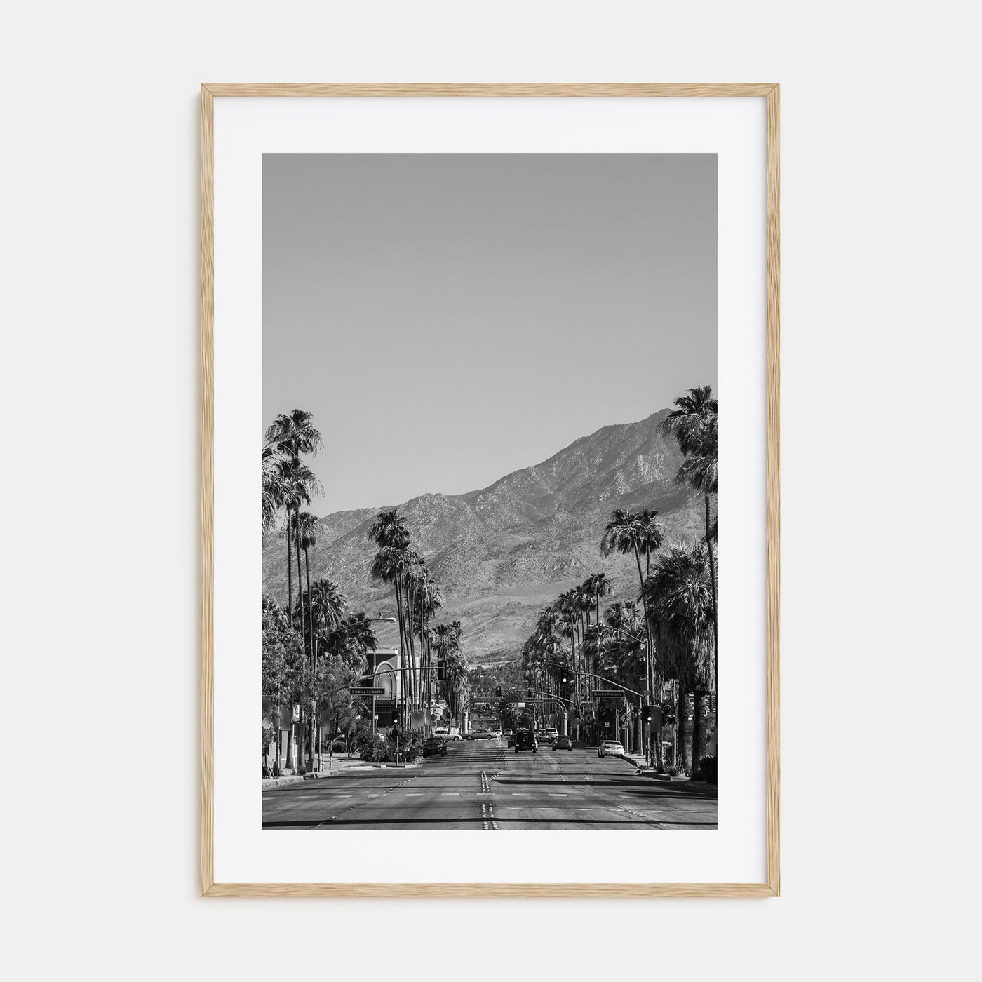 Palm Springs Photo B&W No 1 Poster