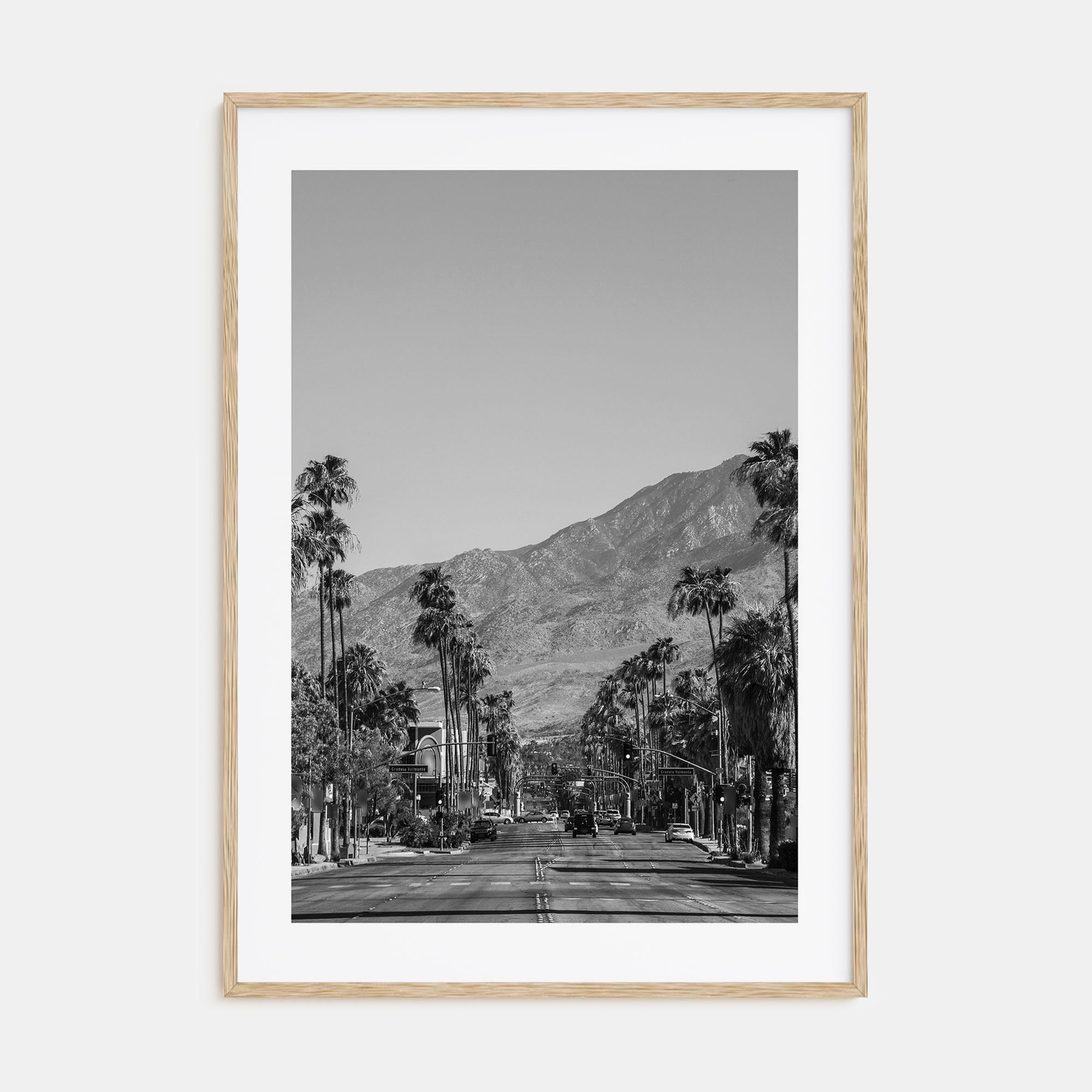 Palm Springs Photo B&W No 1 Poster