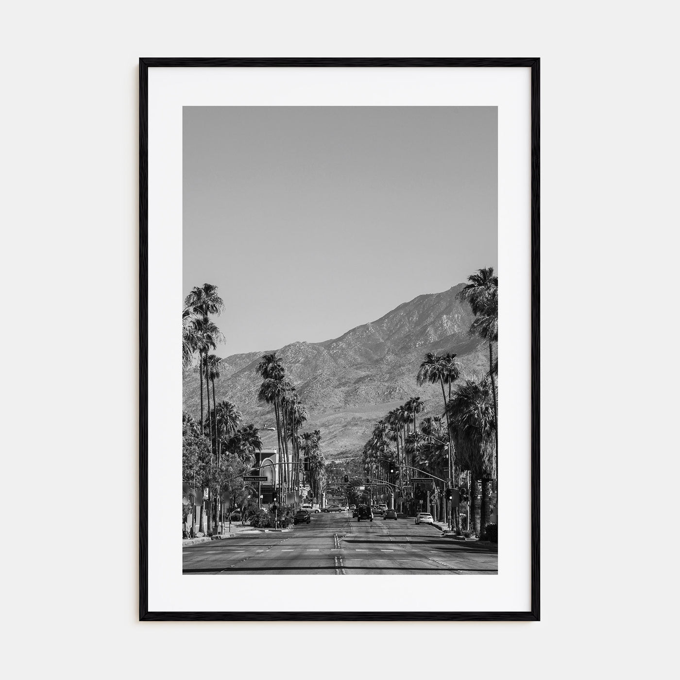 Palm Springs Photo B&W No 1 Poster