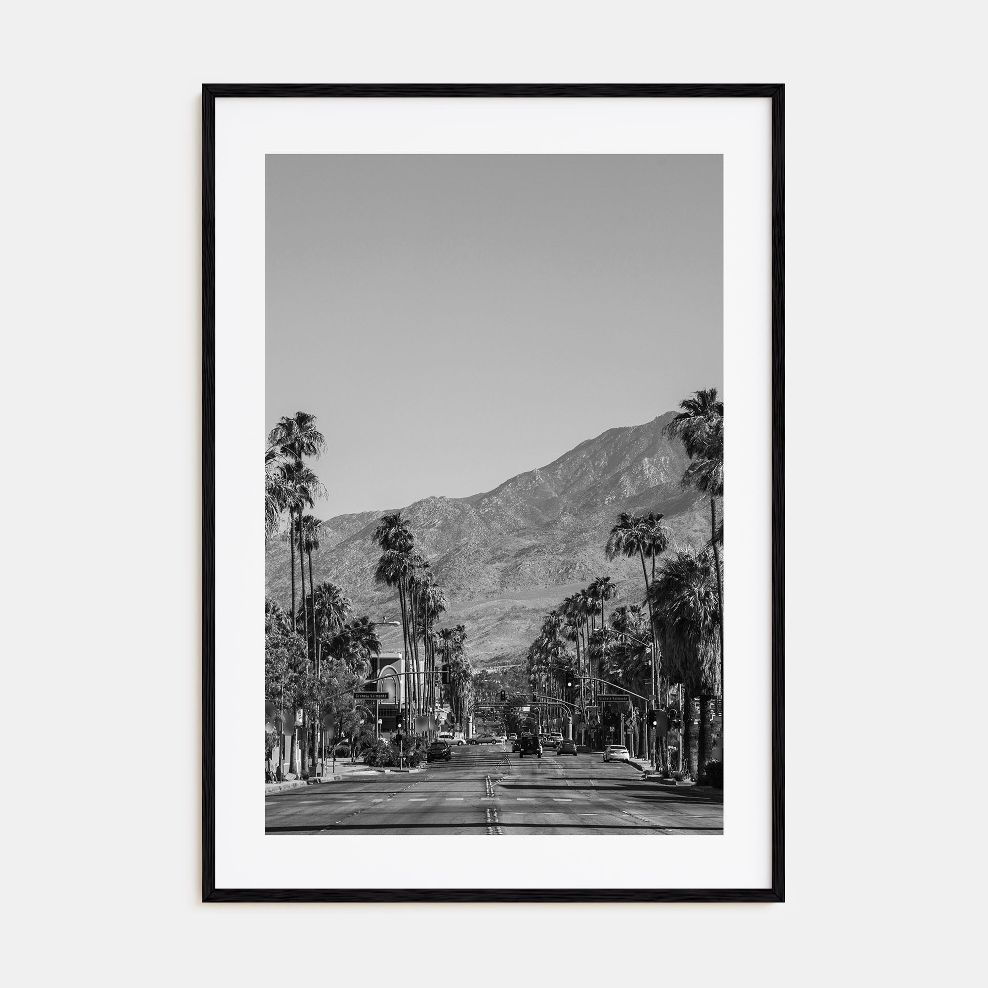 Palm Springs Photo B&W No 1 Poster